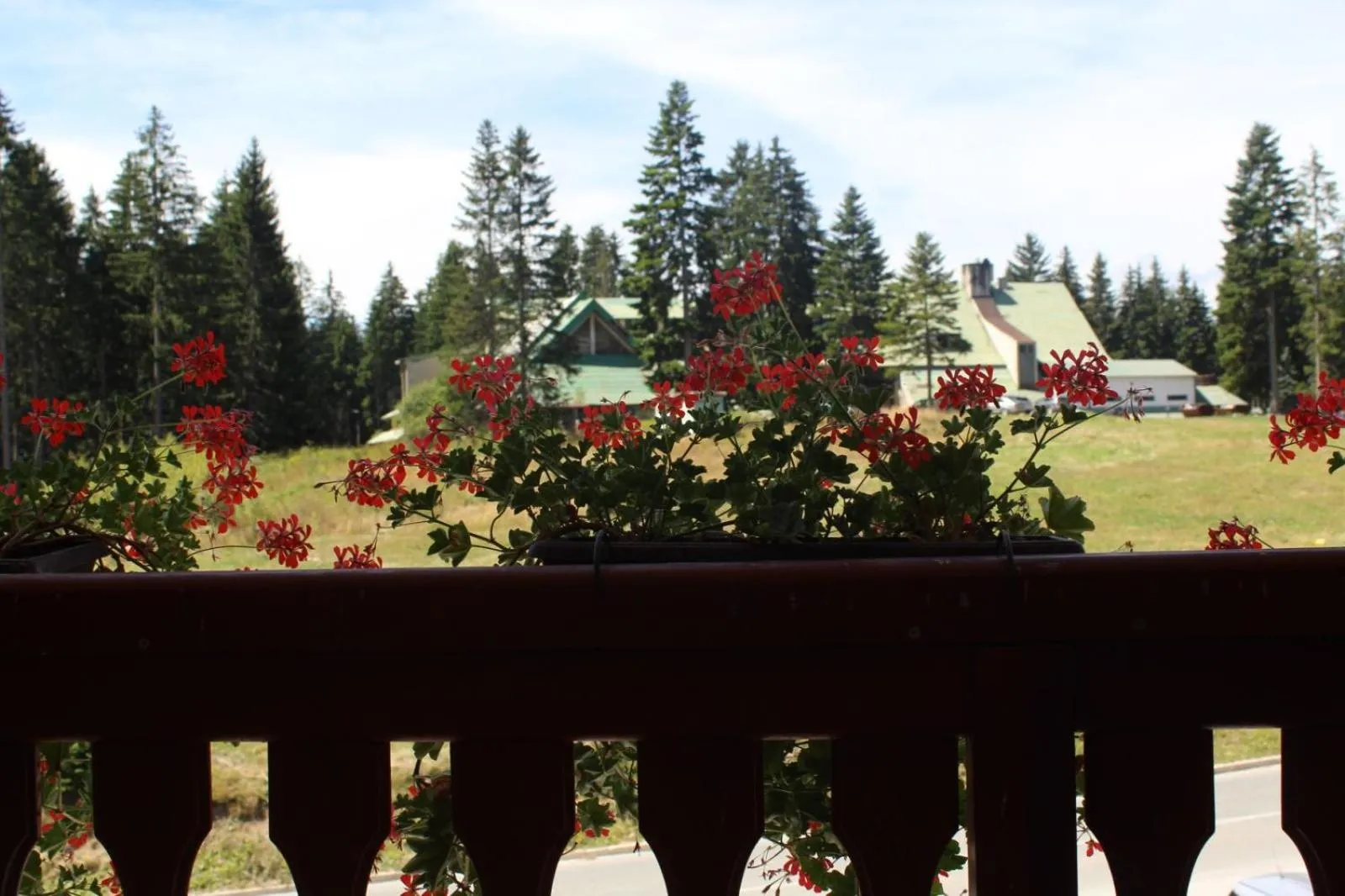 Garden view in IN Hotel Zlatar ex Zlatarski Biseri