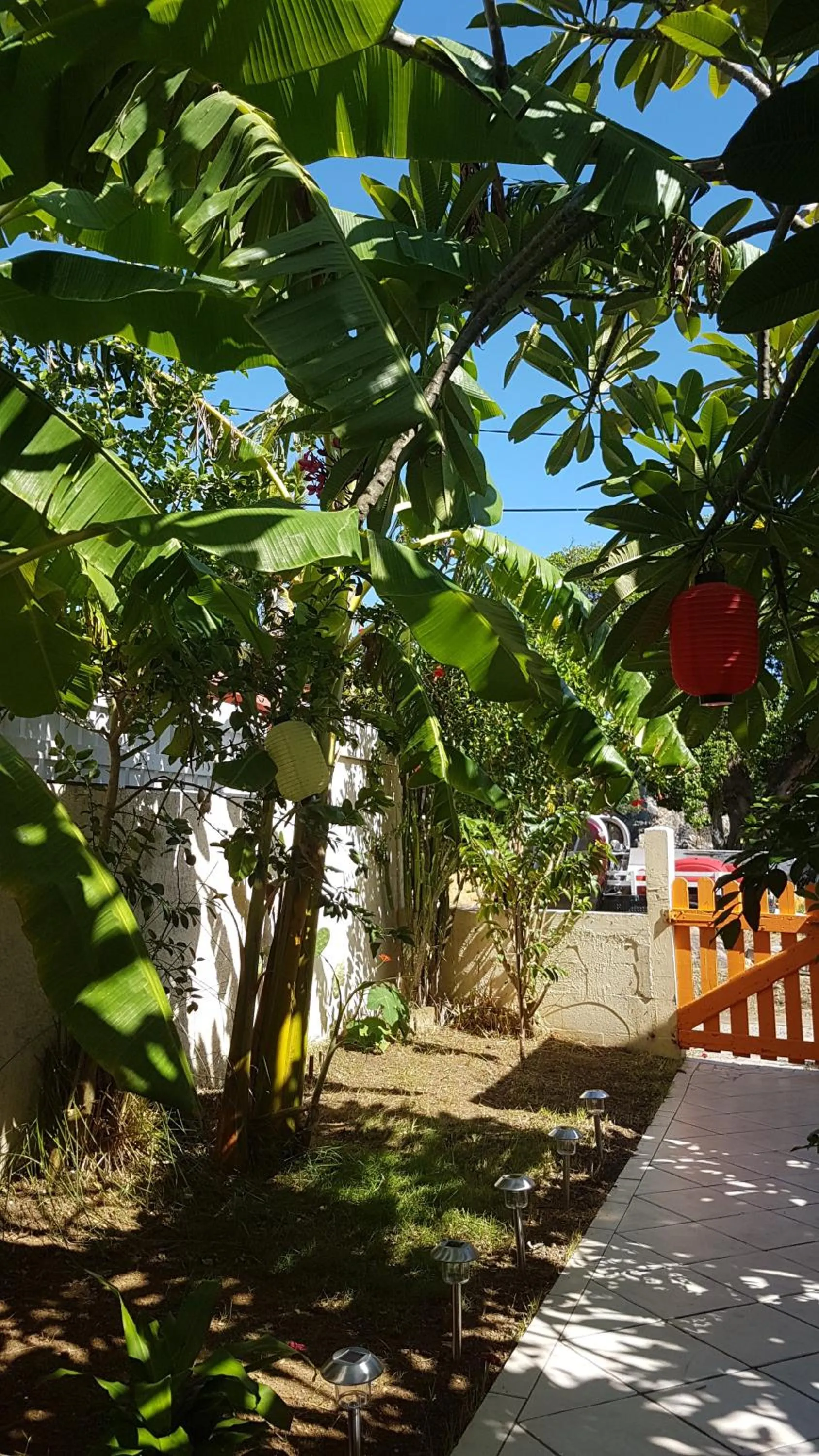 Location Marigot