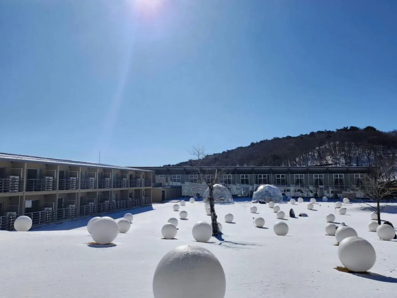 Day in Mineyama Kogen Hotel Relaxia