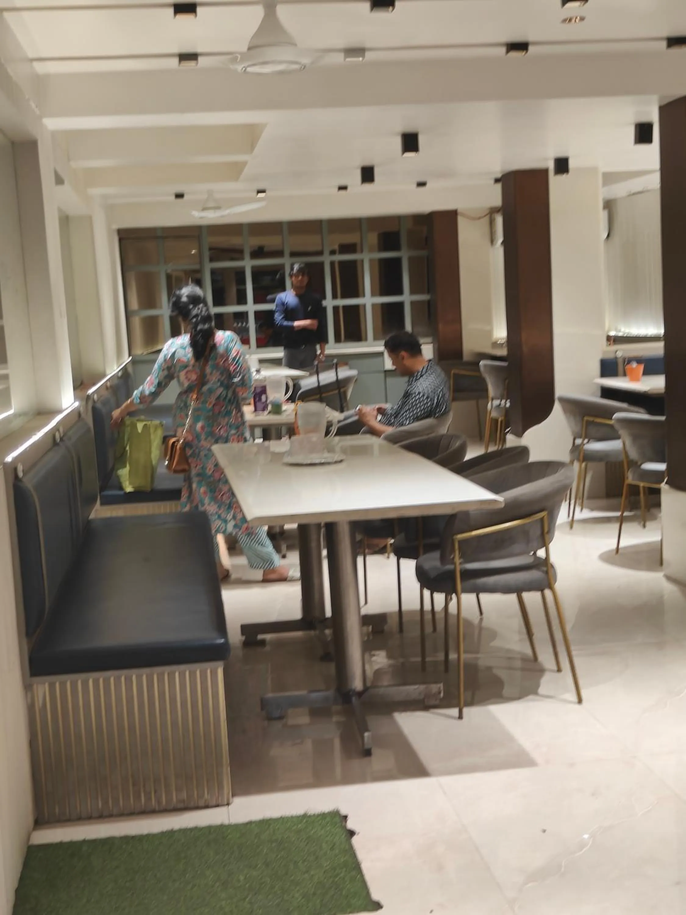 Restaurant/places to eat in Hotel Anand Palace