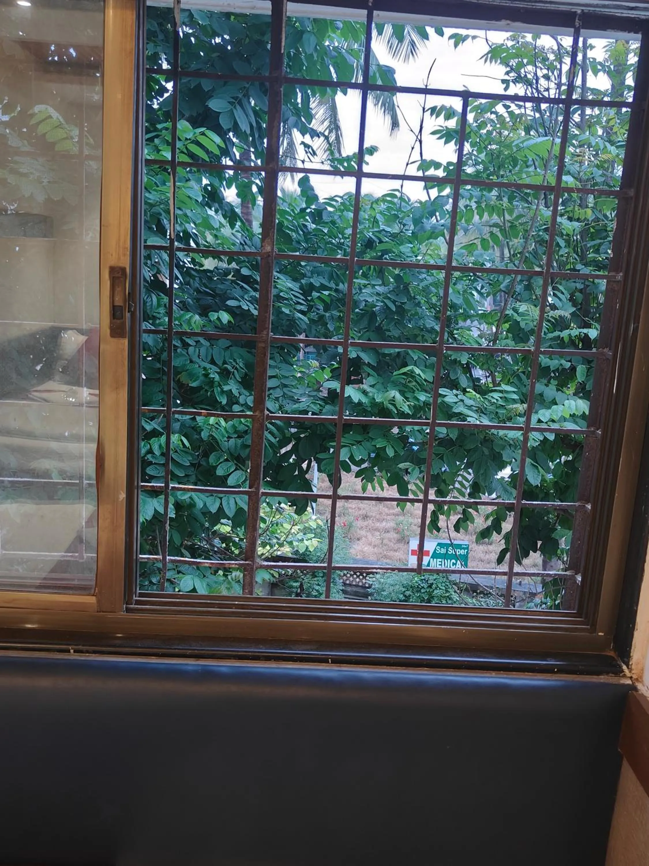 View (from property/room) in Hotel Anand Palace