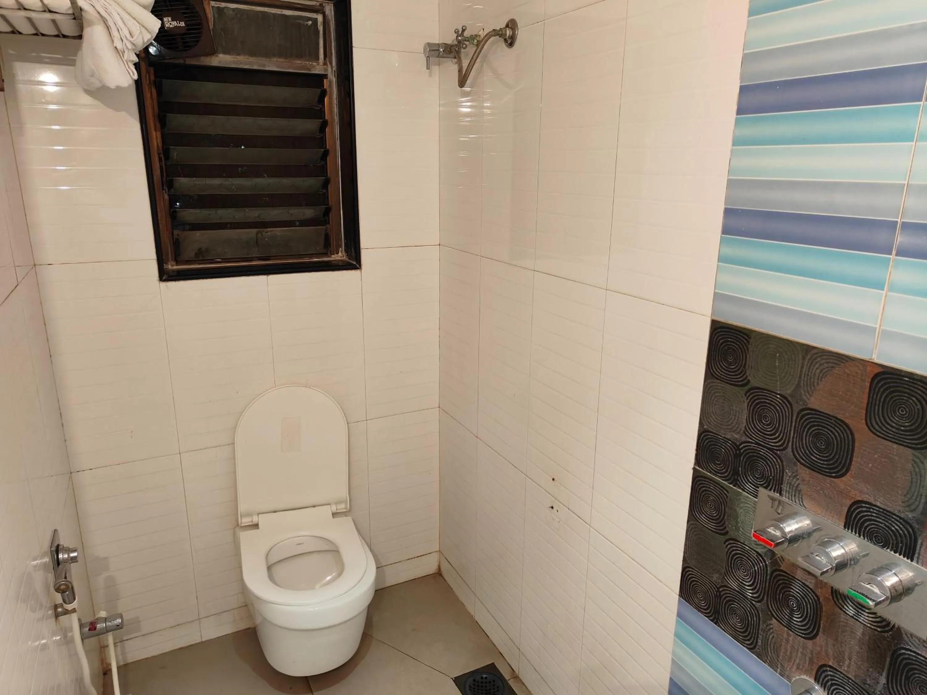 Shower in Hotel Anand Palace