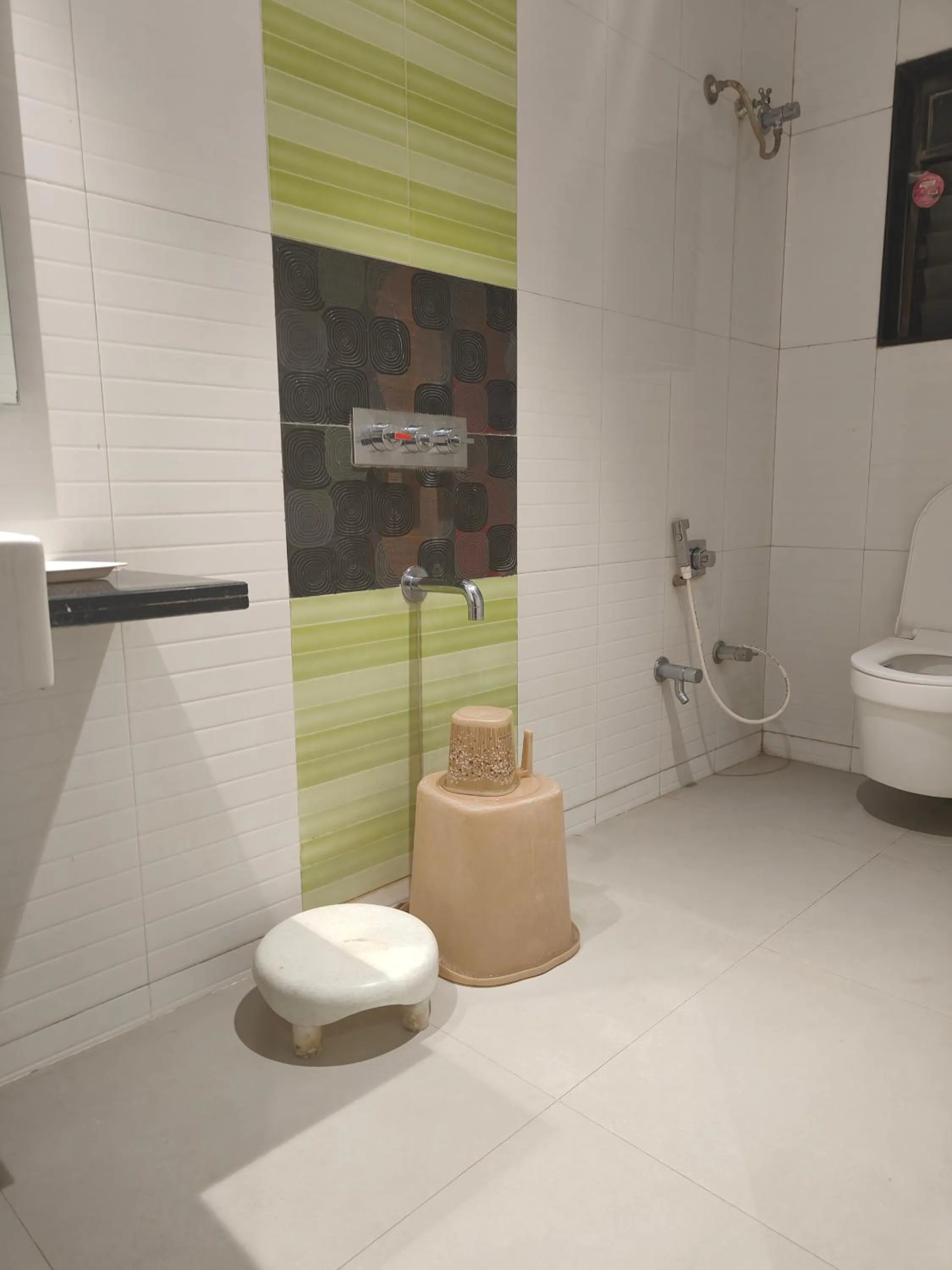 Shower in Hotel Anand Palace