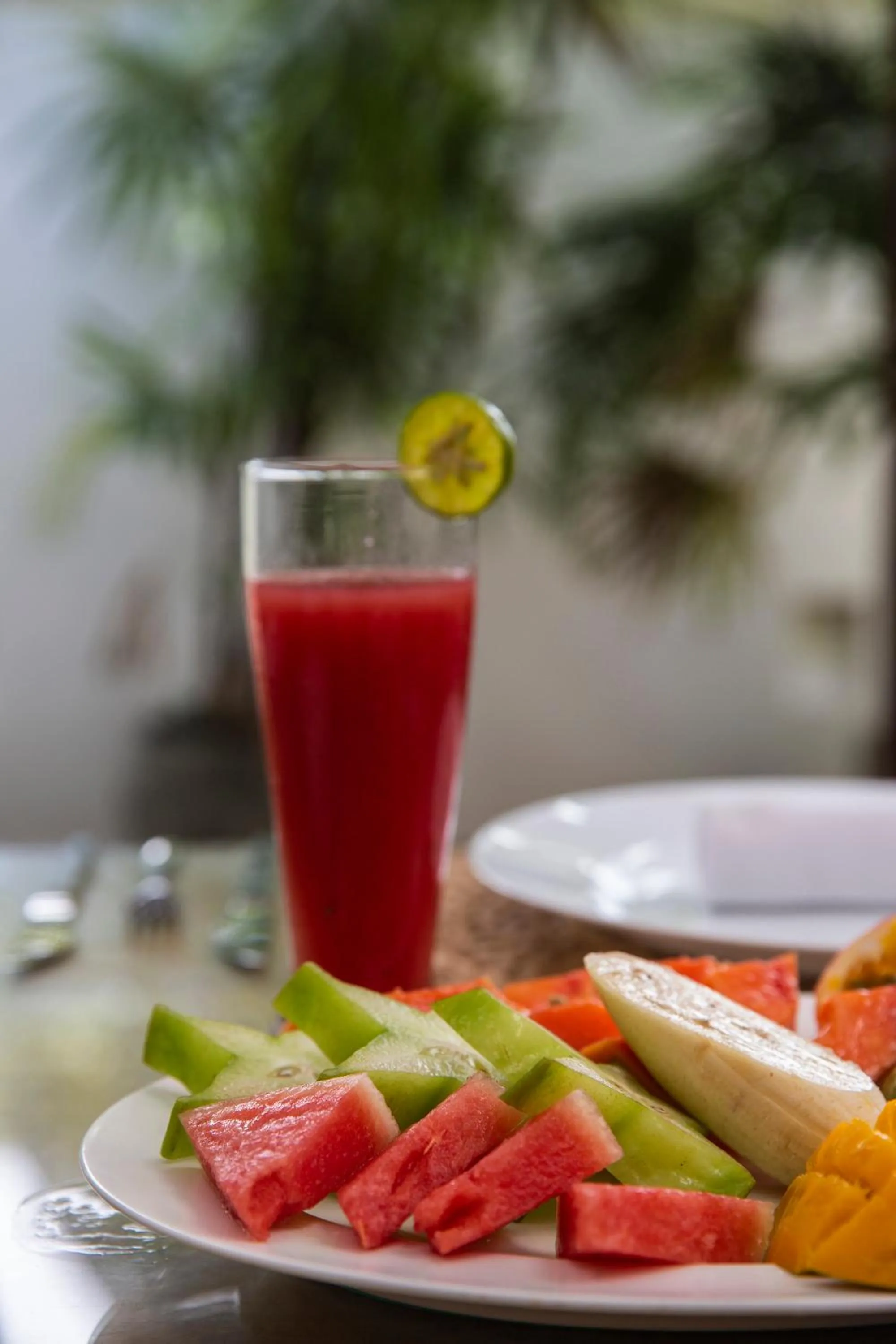 Food and drinks in Green Casa