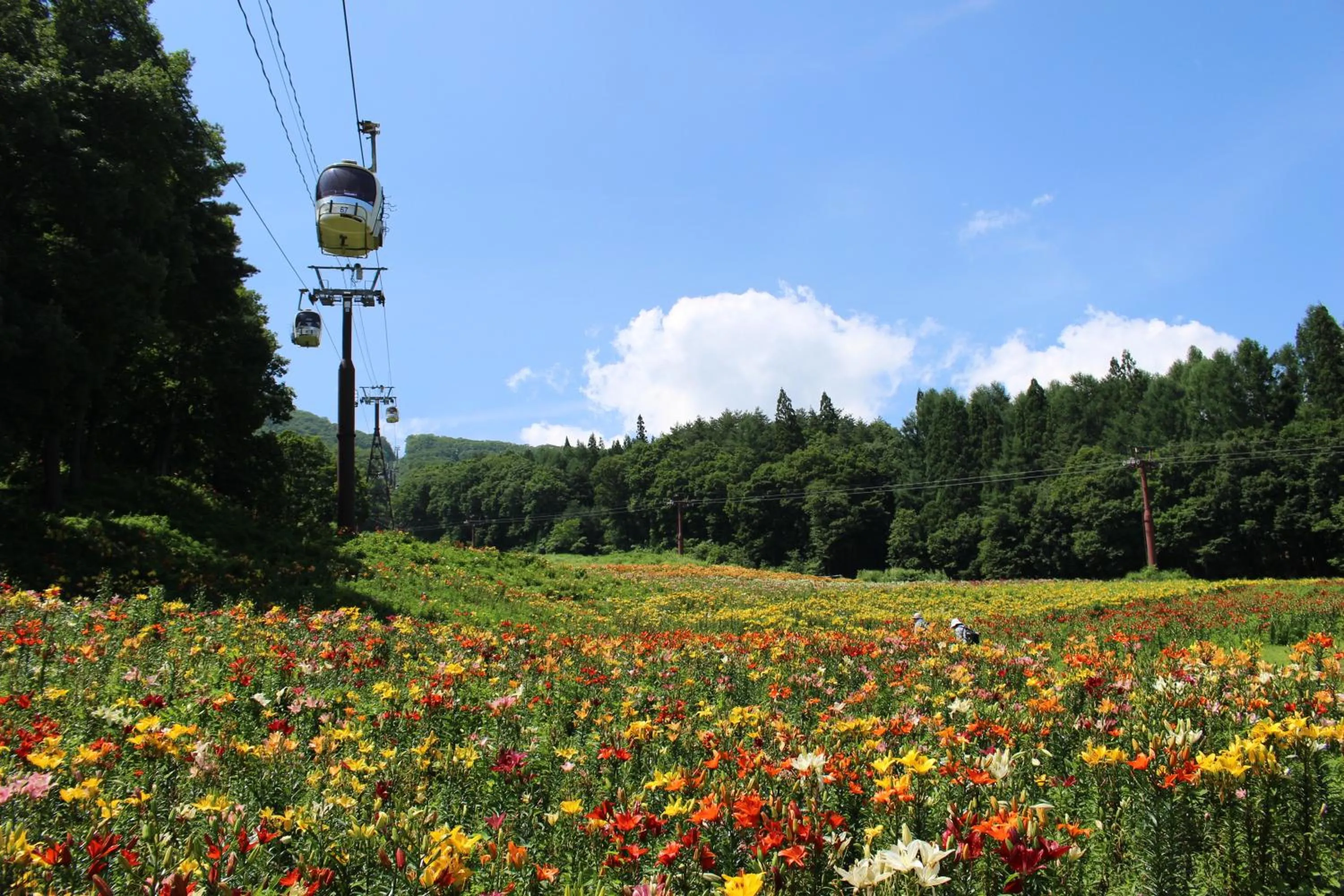 Nearby landmark in Schole Hakuba