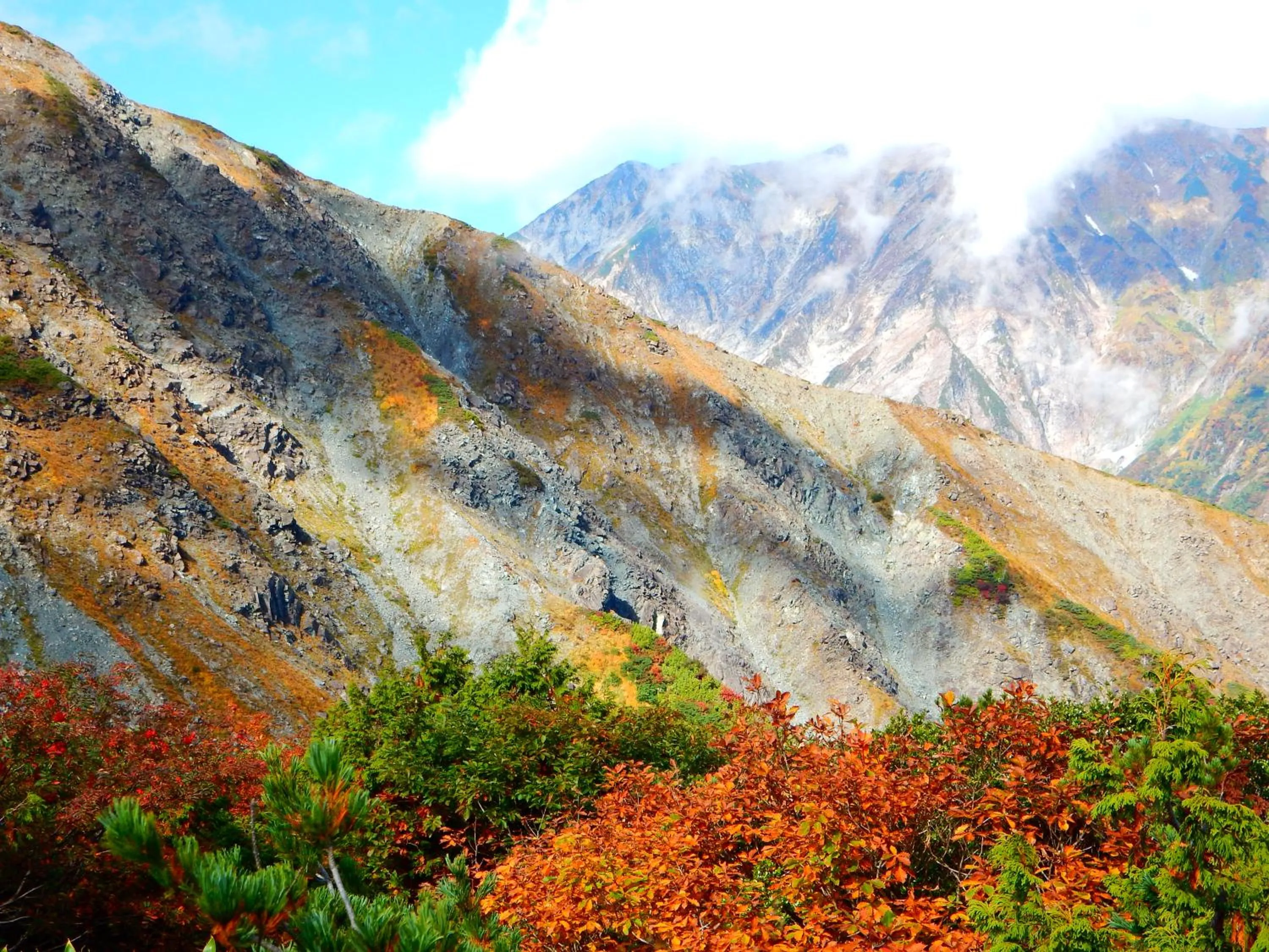 Off site in Schole Hakuba