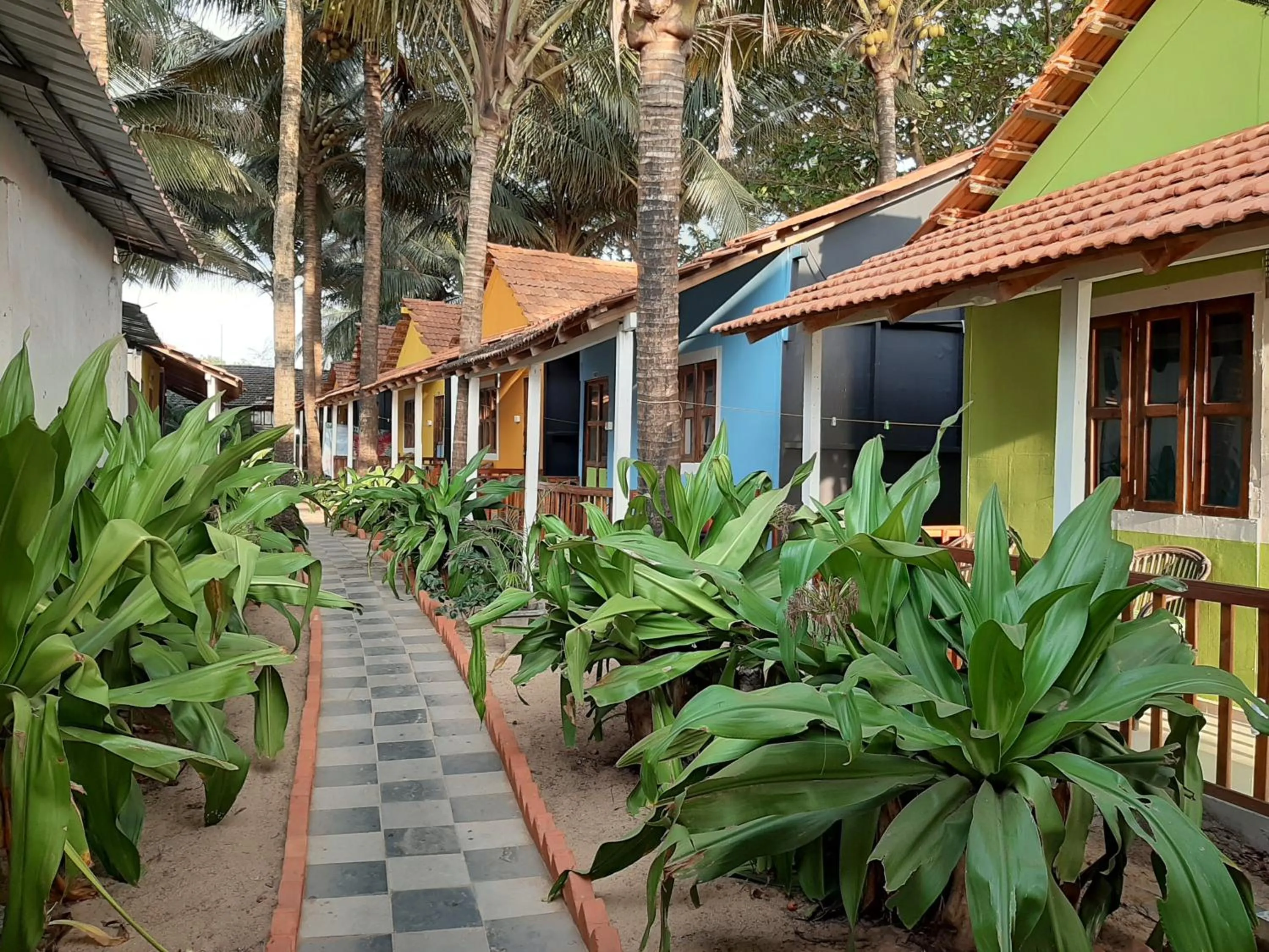 Garden in Om Shanti Beach Stay Patnem