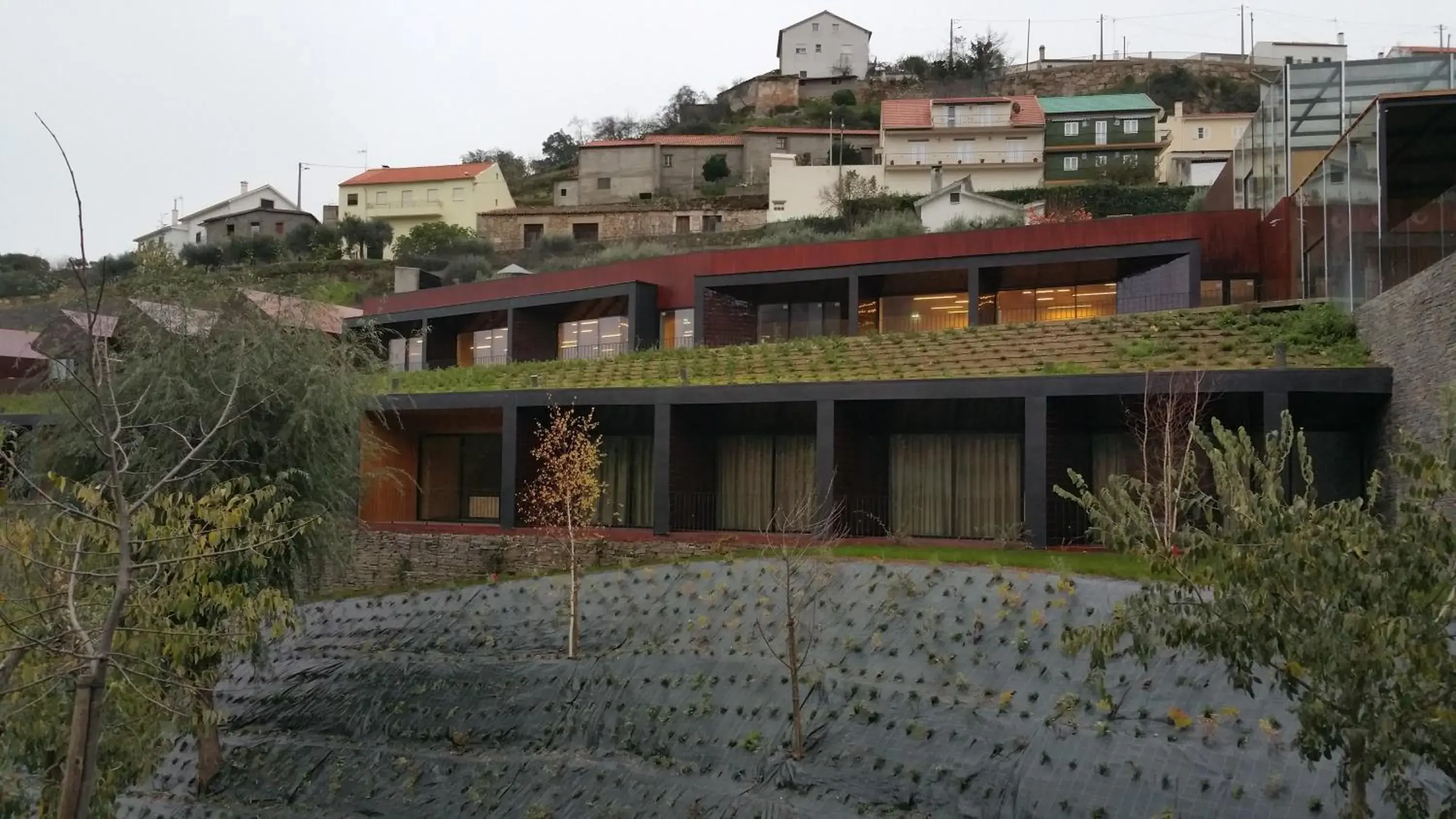 Facade/entrance in Longroiva Hotel Rural Facade/entrance in Longroiva Hotel Rural