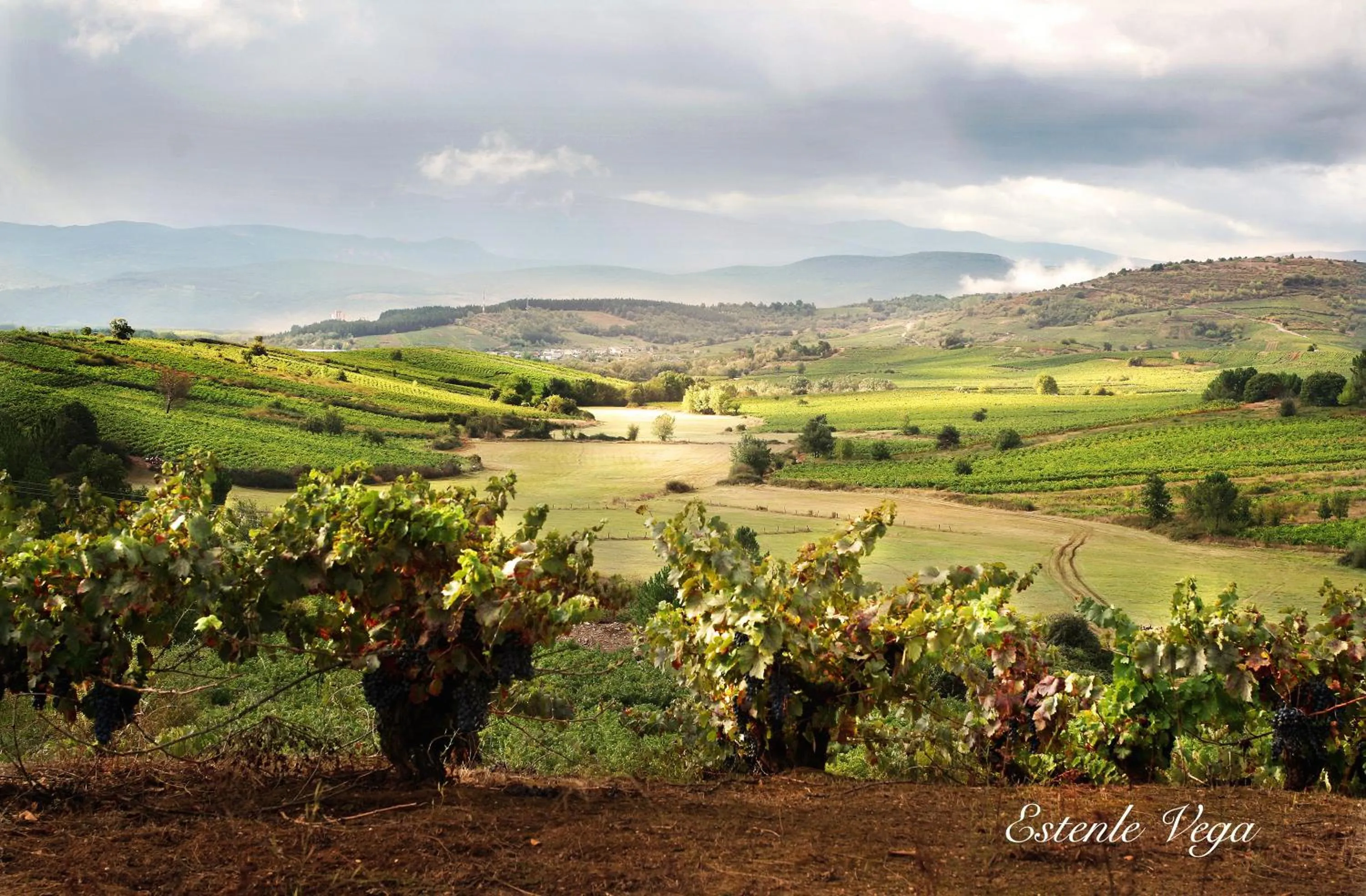 Autumn in Hotel Molina Real