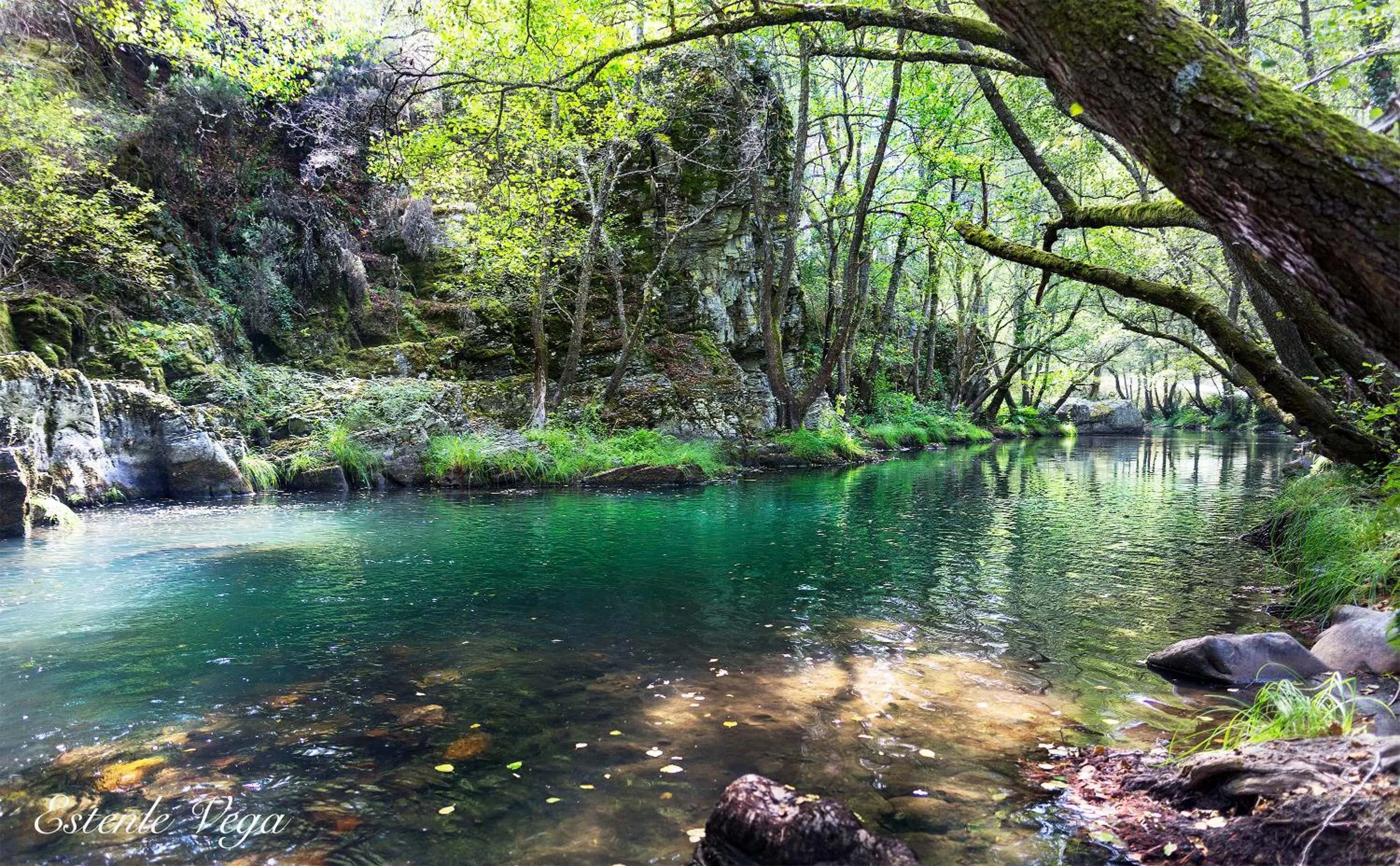 Summer in Hotel Molina Real