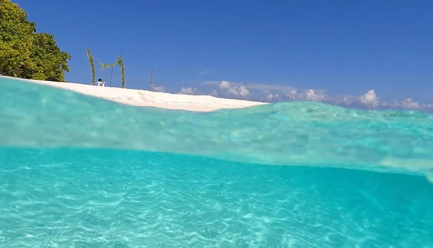 Beach in Shamar Guesthouse & Dive