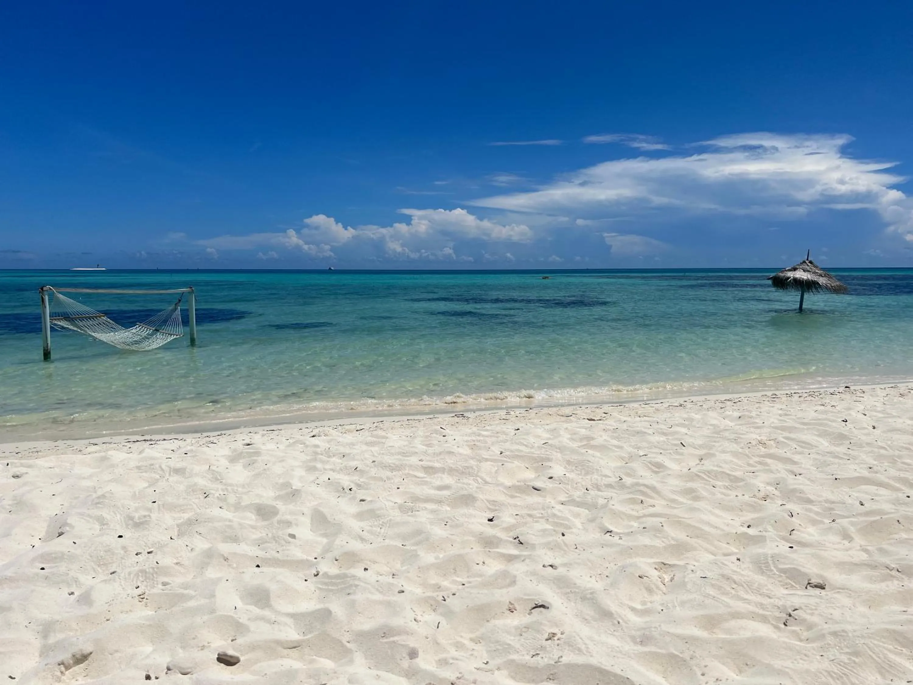 Beach in Shamar Guesthouse & Dive