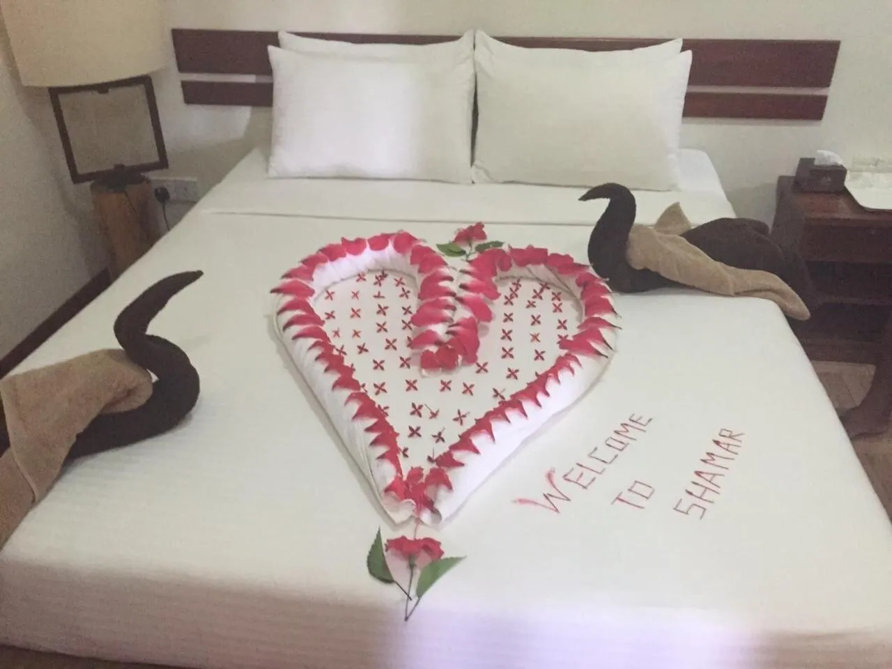 Bed in Shamar Guesthouse & Dive