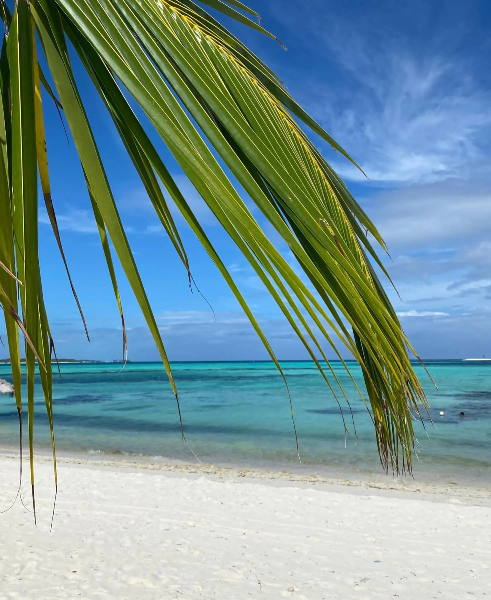 Beach in Shamar Guesthouse & Dive