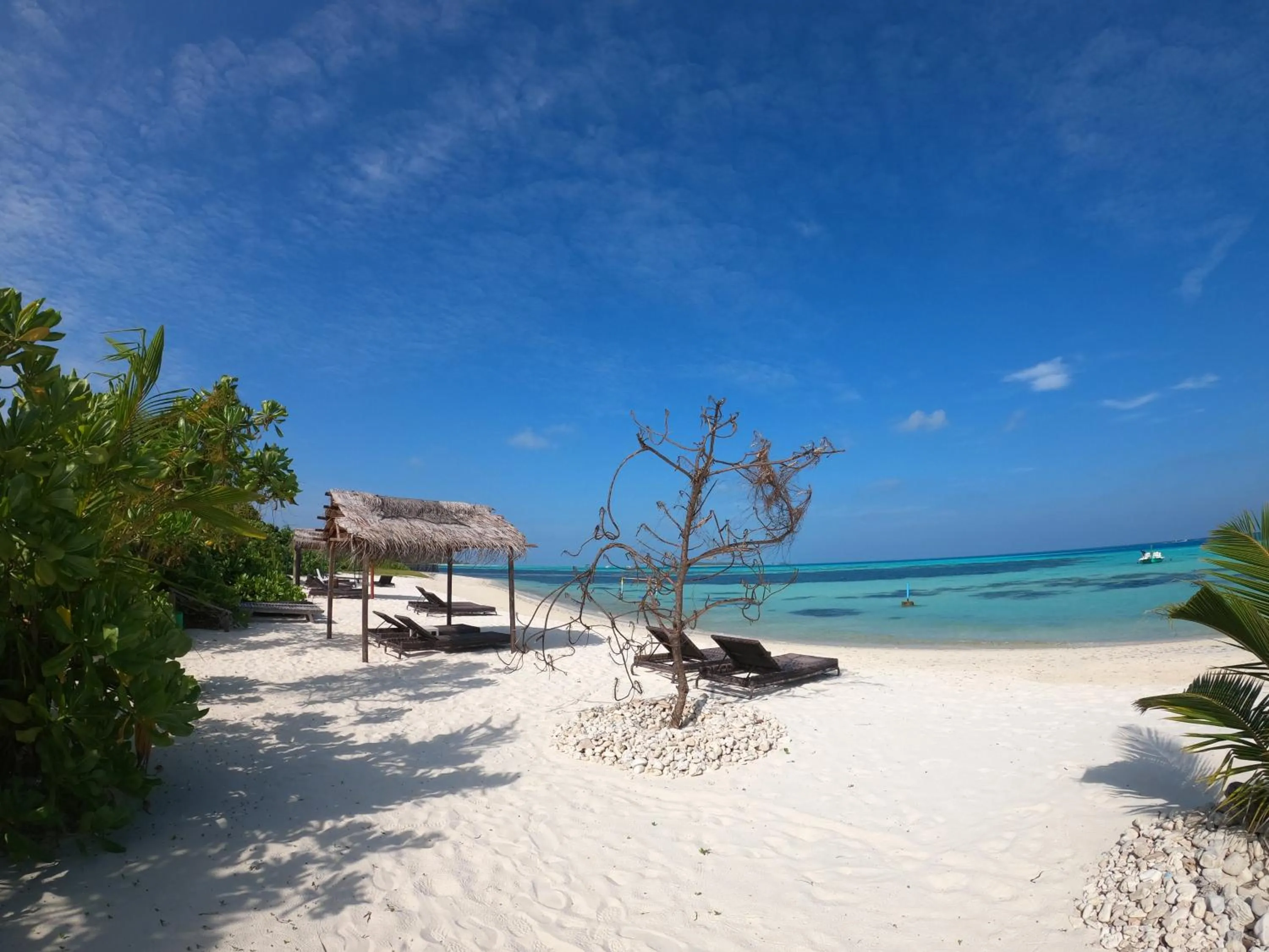 Shamar Guesthouse & Dive