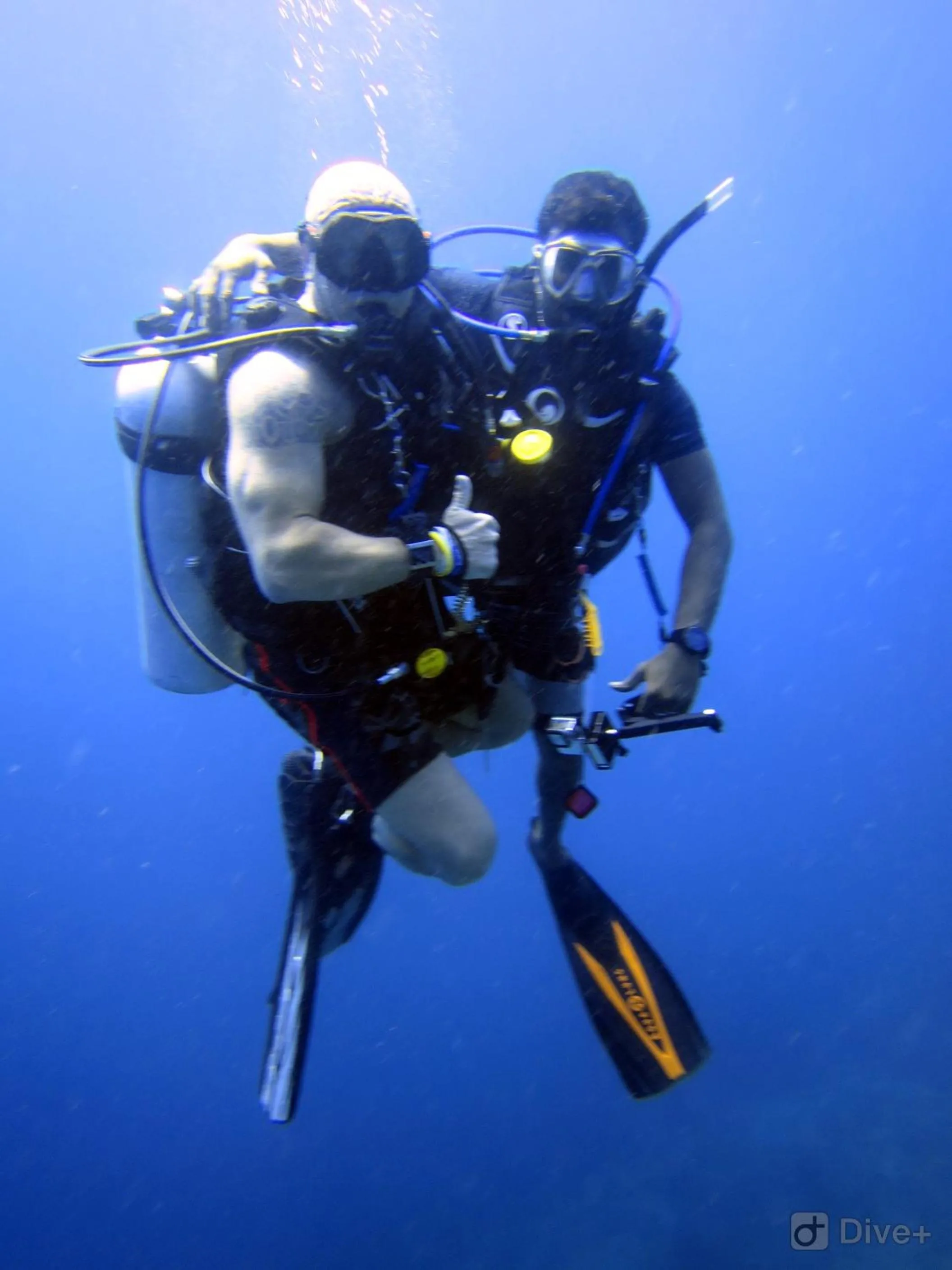 Off site in Shamar Guesthouse & Dive