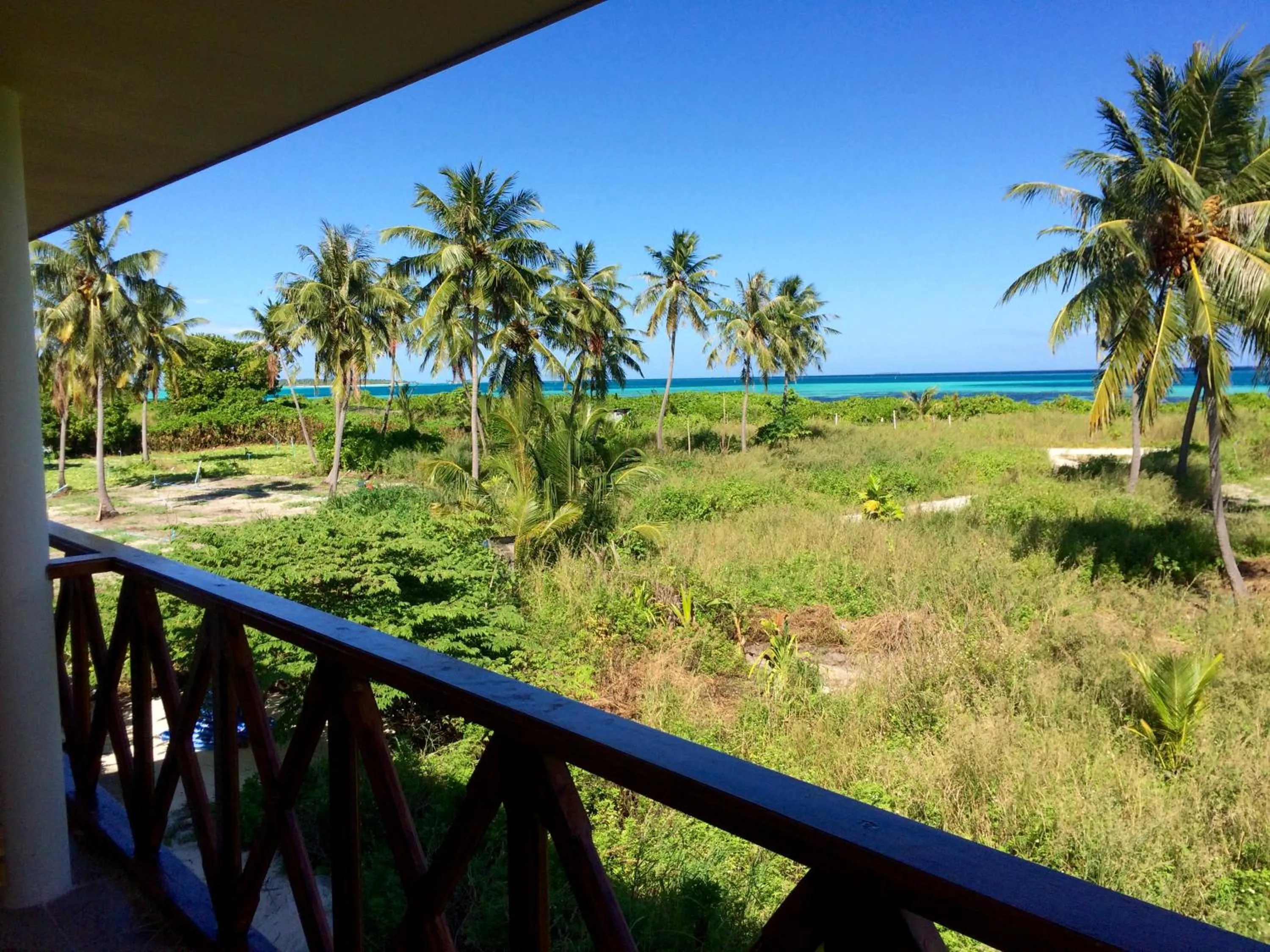Balcony/Terrace in Shamar Guesthouse & Dive