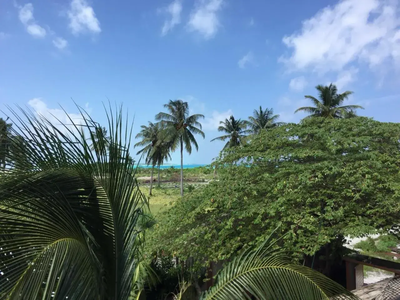 Double or Twin Room in Shamar Guesthouse & Dive Double or Twin Room in Shamar Guesthouse & Dive