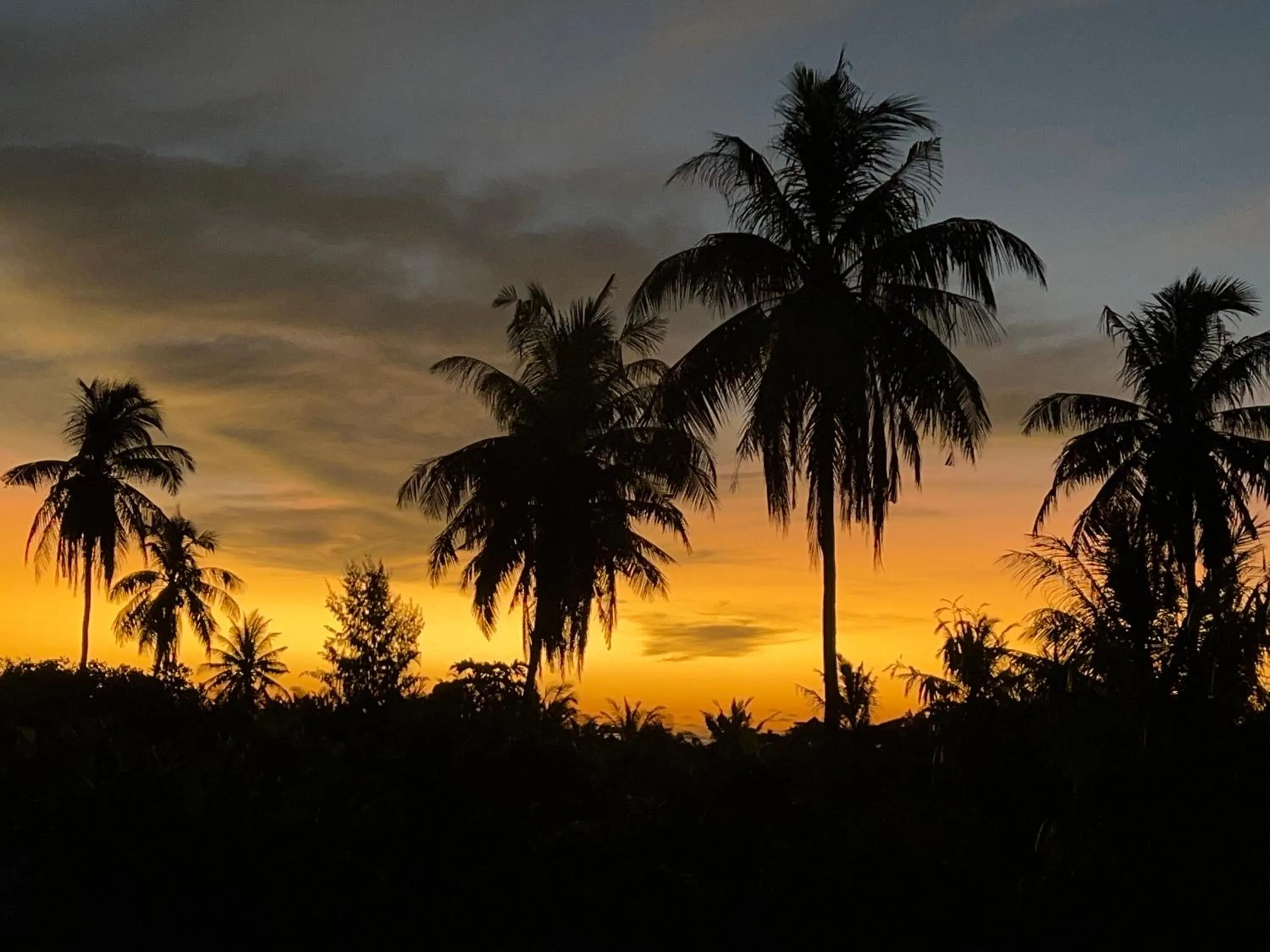 Shamar Guesthouse & Dive