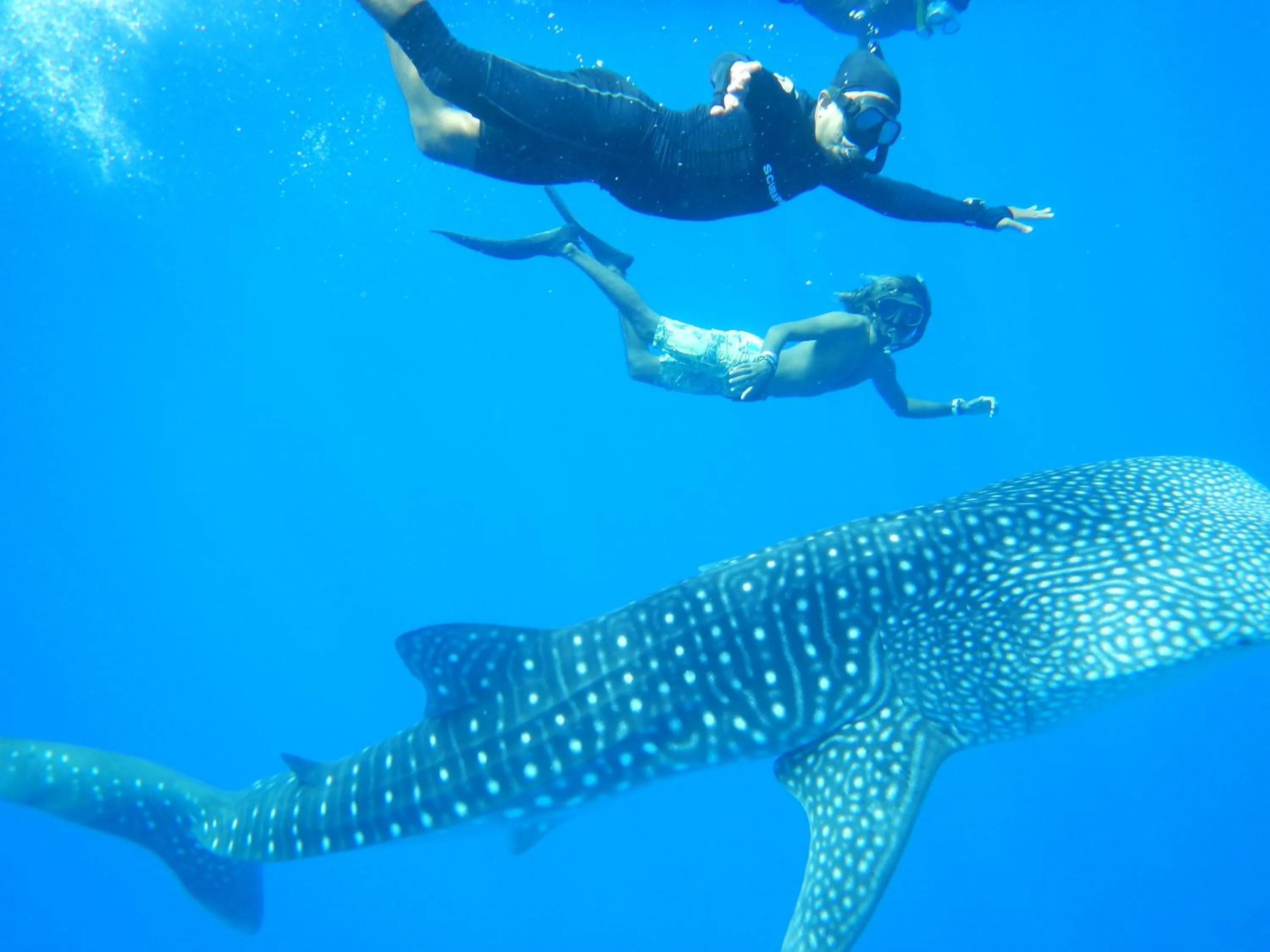 Spring in Shamar Guesthouse & Dive