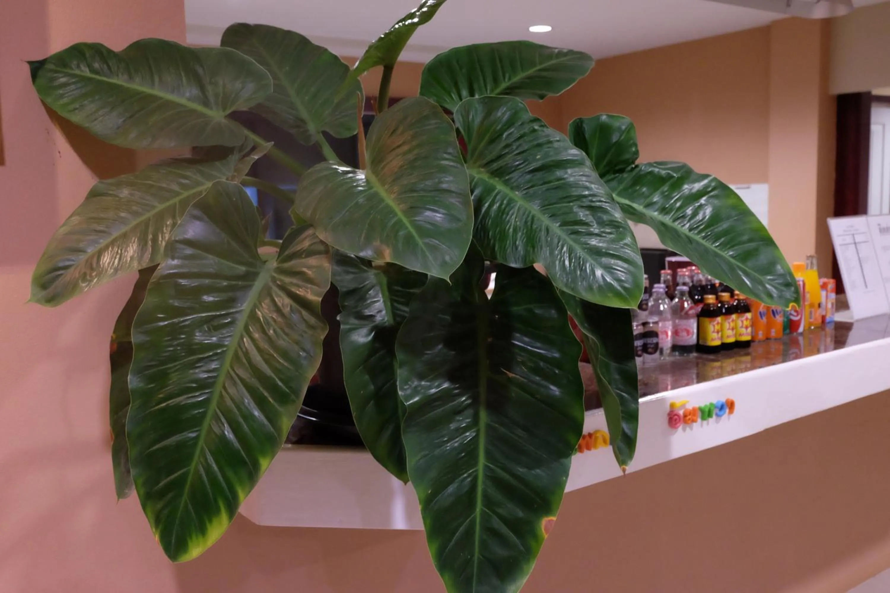 Decorative detail in Juntima Place at Amphawa