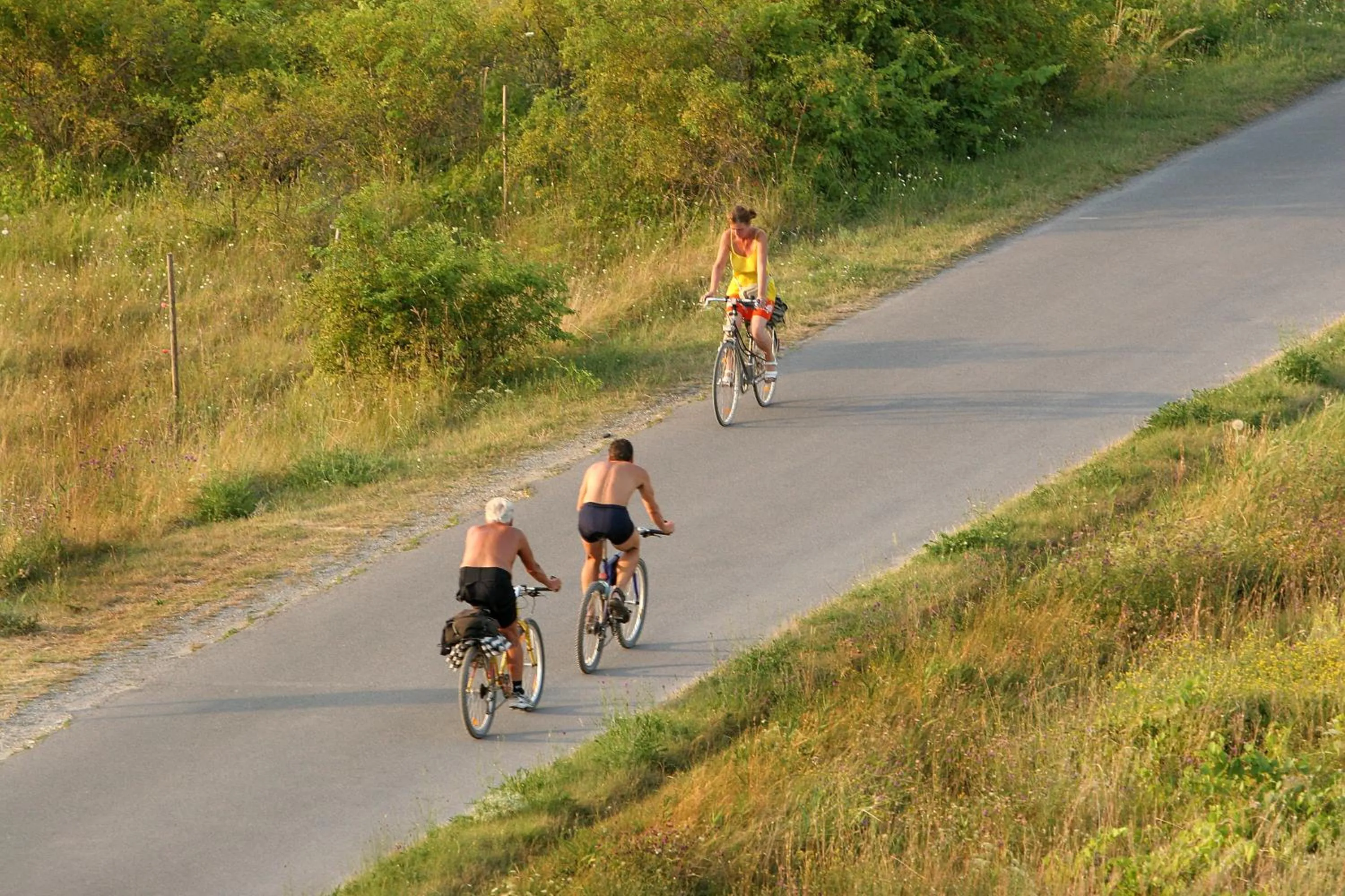 Cycling in Georgshof