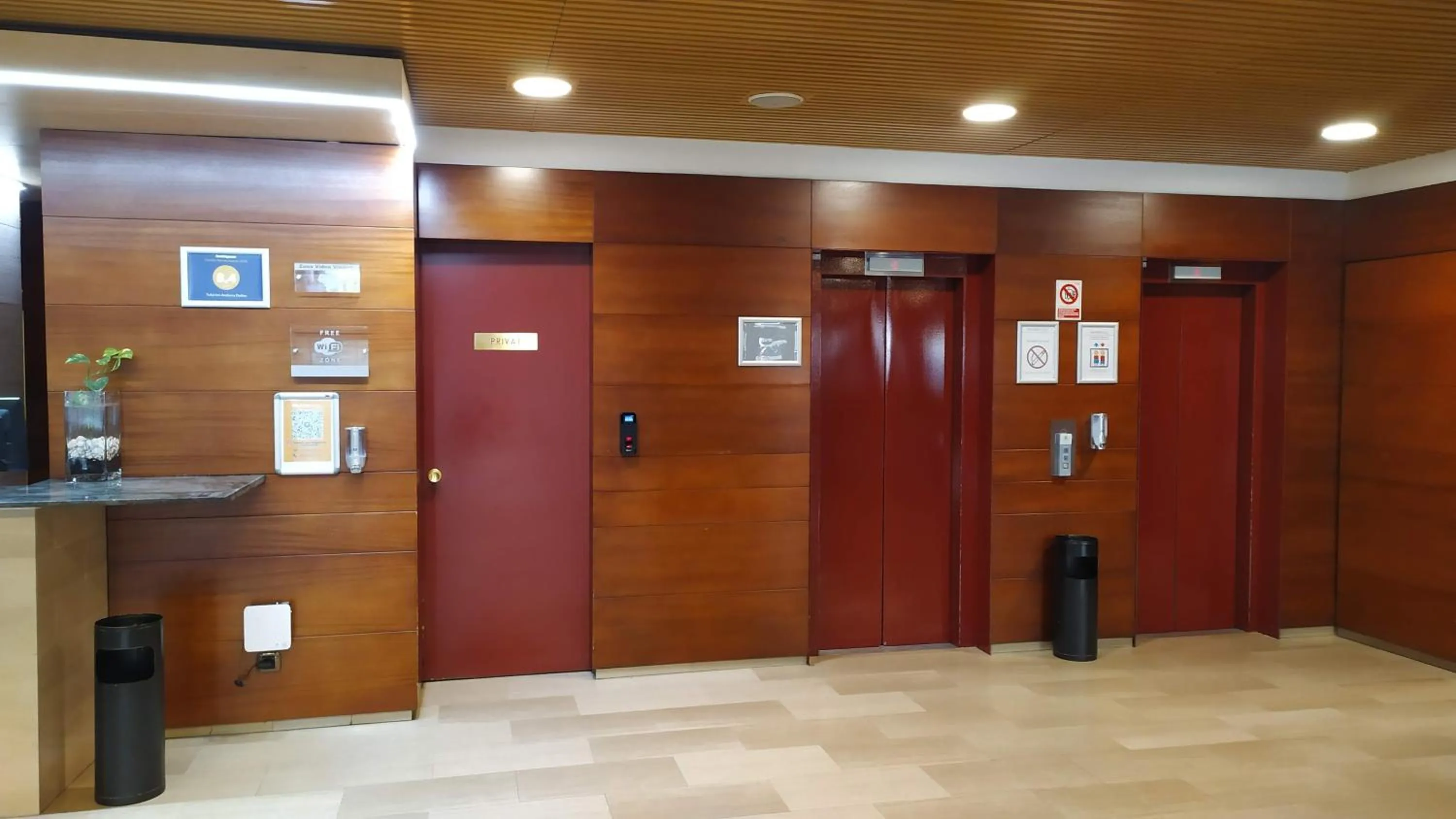 Decorative detail in Sercotel Delfos Andorra