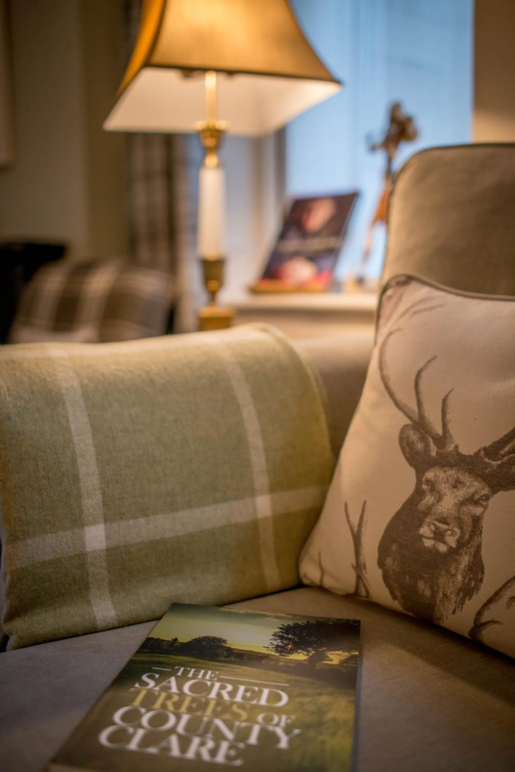 Communal lounge/ TV room in Hazelwood Lodge