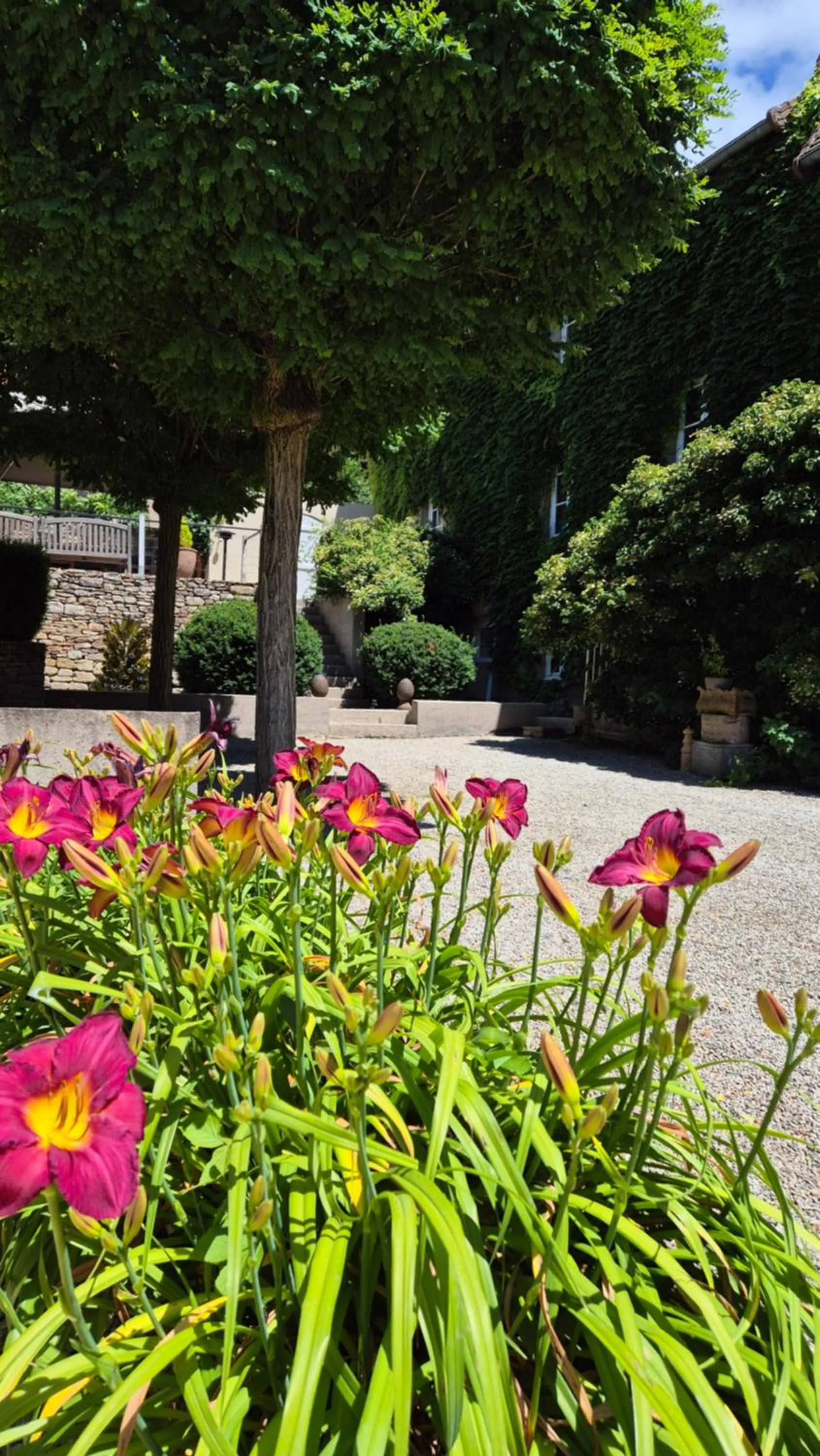 Garden in Moulin Renaudiots - Escapade Luxe Refuge cosy & Bourgogne au coin du feu