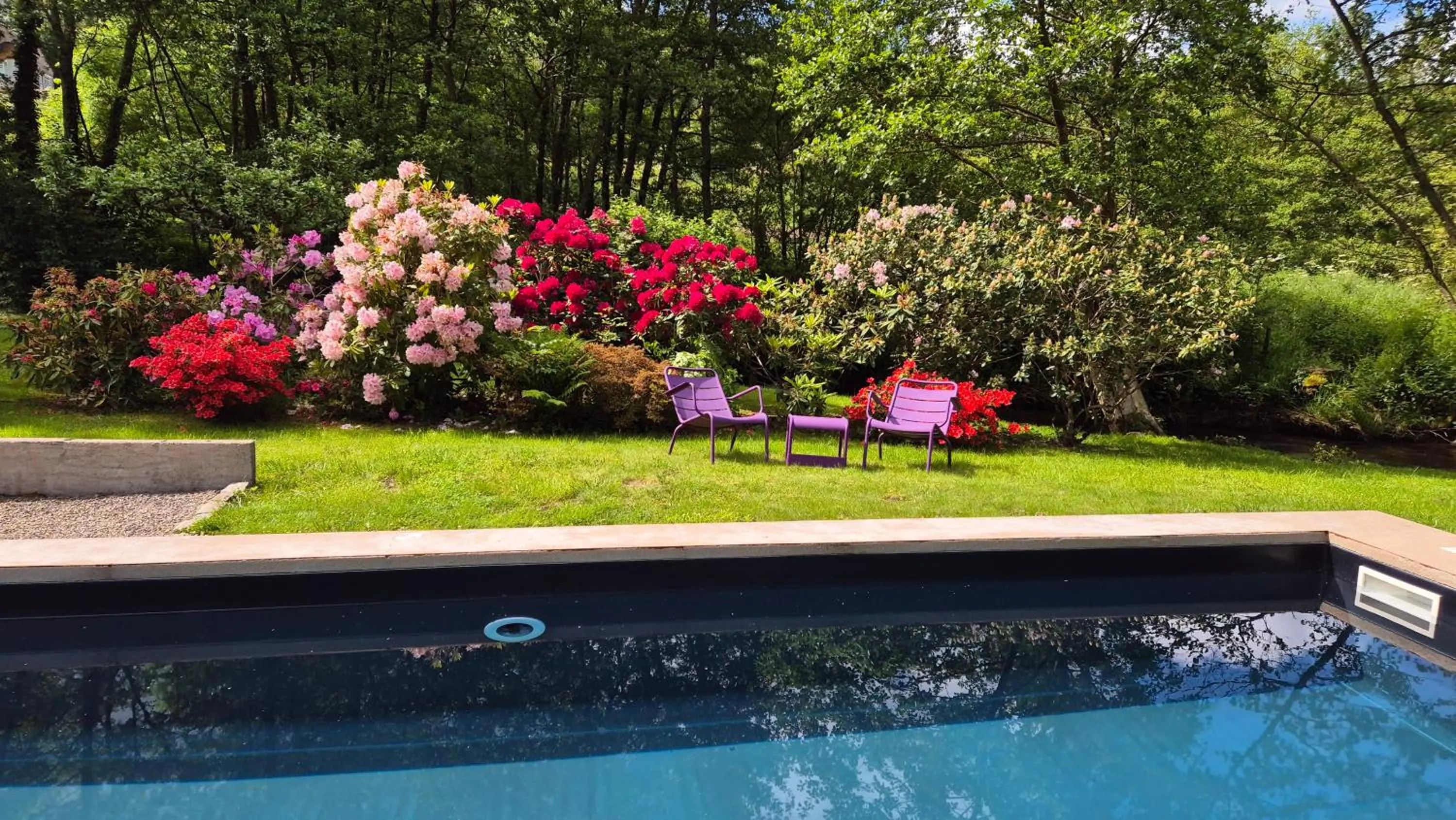 Swimming pool in Moulin Renaudiots - Escapade Luxe Refuge cosy & Bourgogne au coin du feu