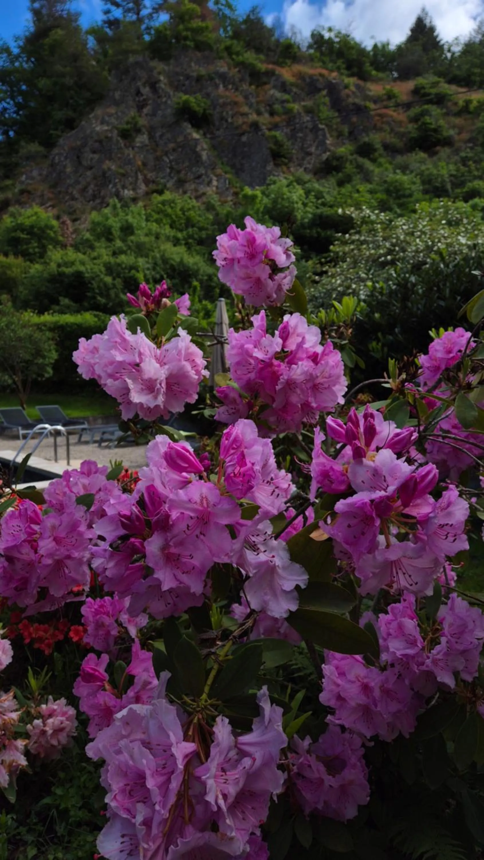 Pool view in Moulin Renaudiots - Escapade Luxe Refuge cosy & Bourgogne au coin du feu