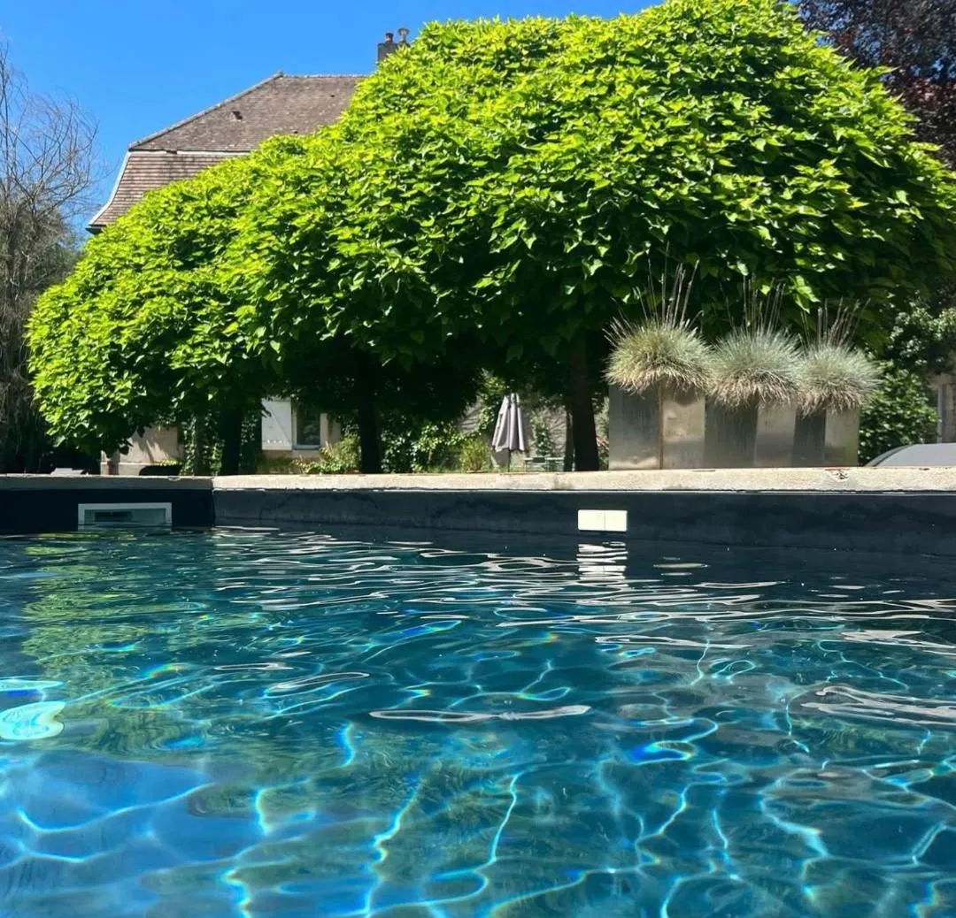 Swimming pool in Moulin Renaudiots - Escapade Luxe Refuge cosy & Bourgogne au coin du feu