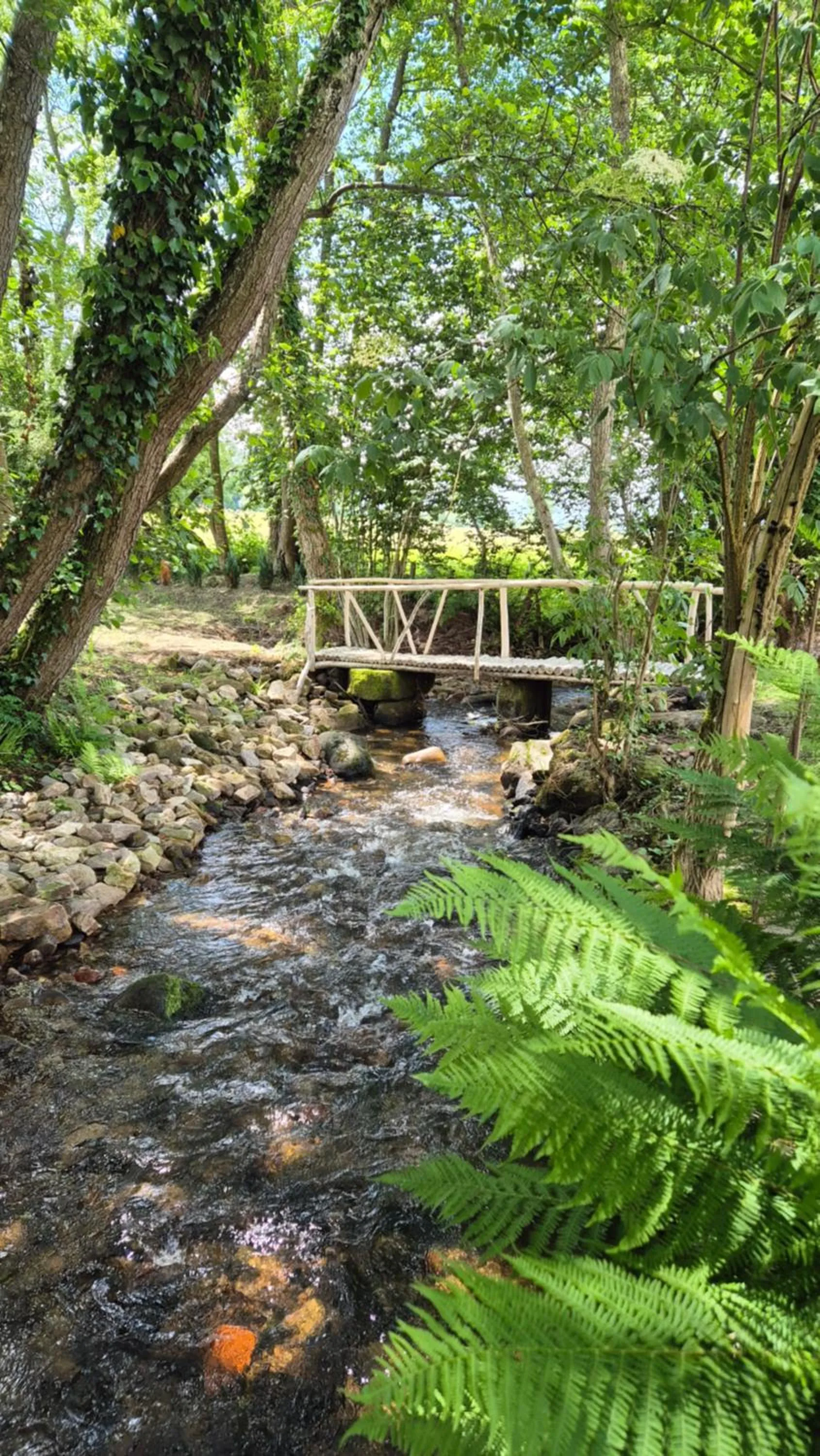 River view in Moulin Renaudiots - Escapade Luxe Refuge cosy & Bourgogne au coin du feu