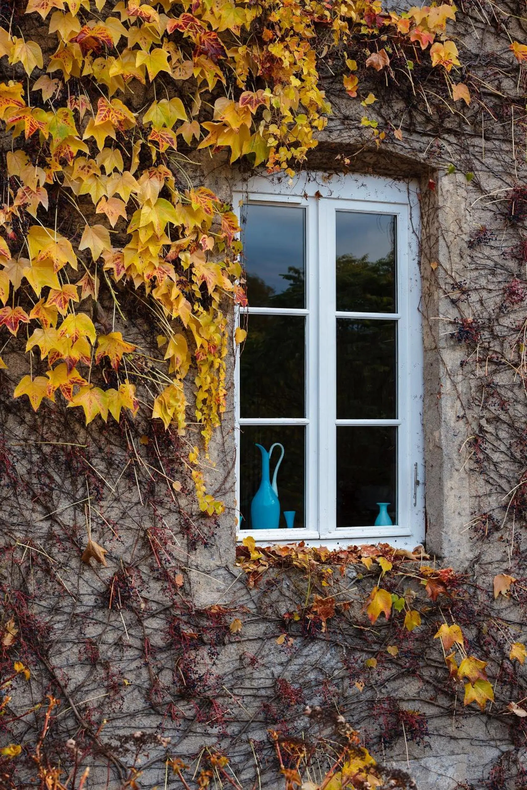 Property building in Moulin Renaudiots - Escapade Luxe Refuge cosy & Bourgogne au coin du feu
