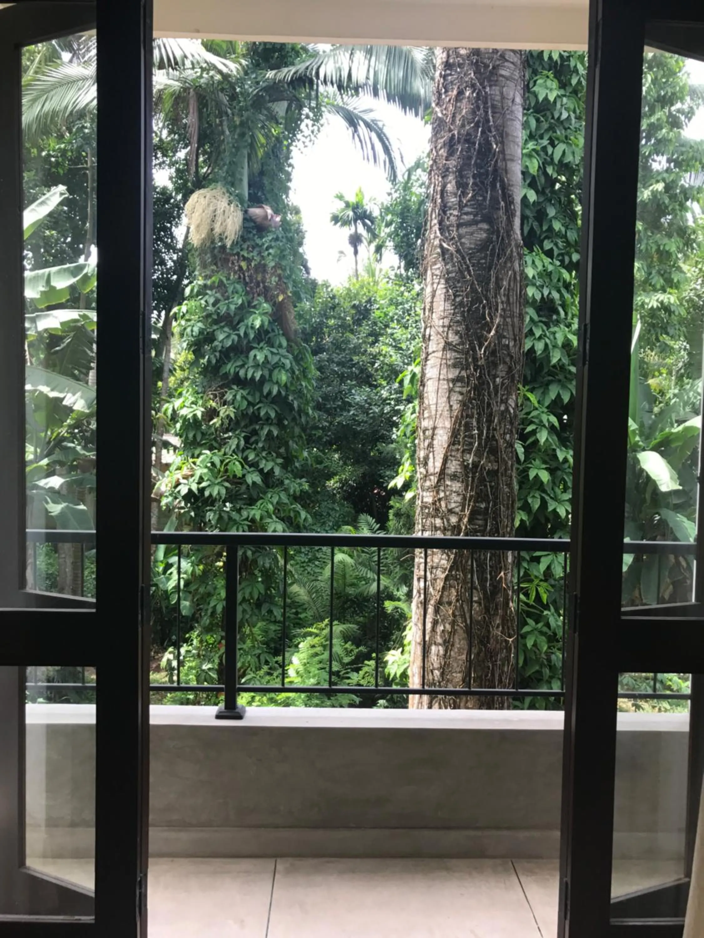 Balcony/Terrace in Rockydale Home Stay