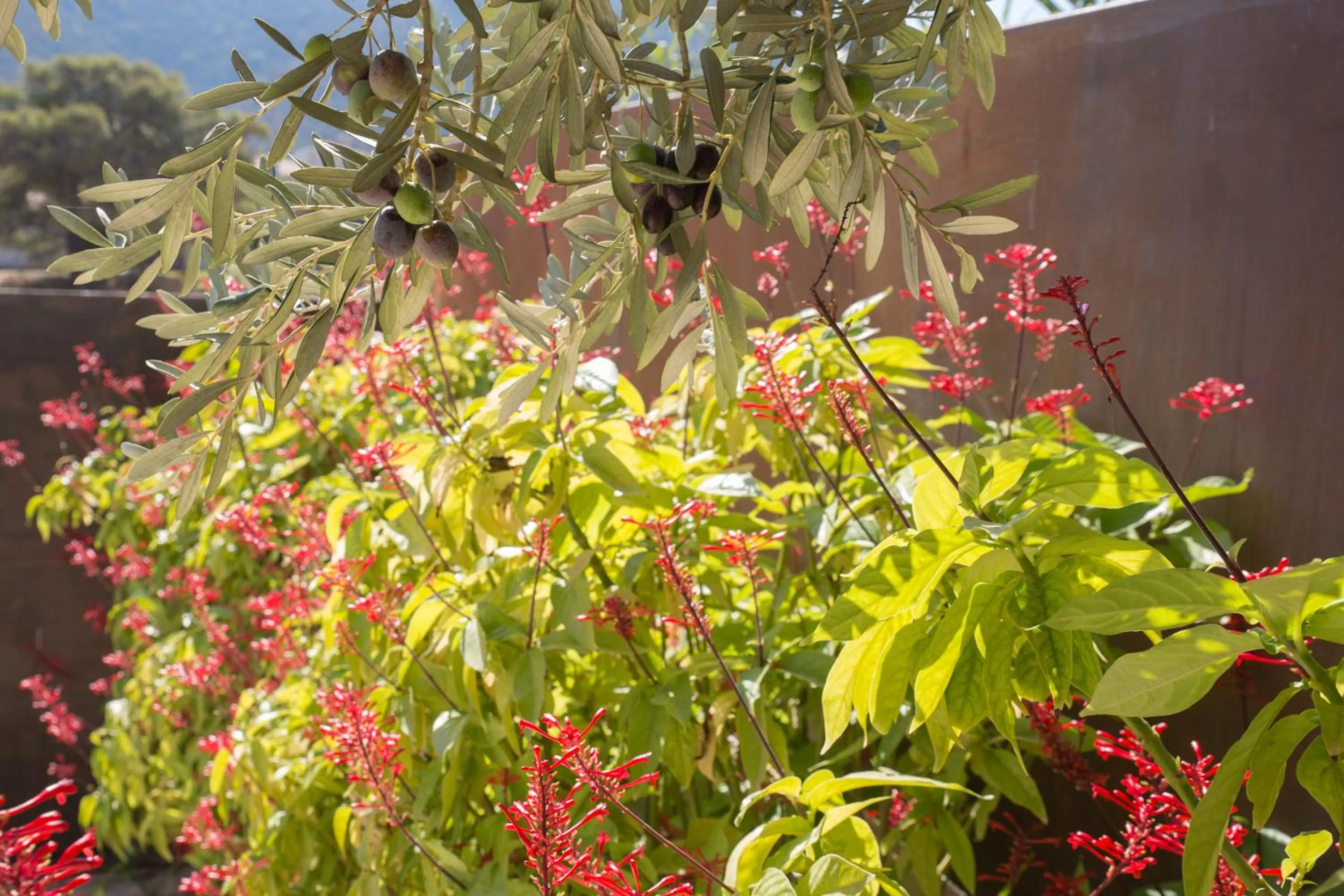 Day in Infinity White Complex by GK Properties