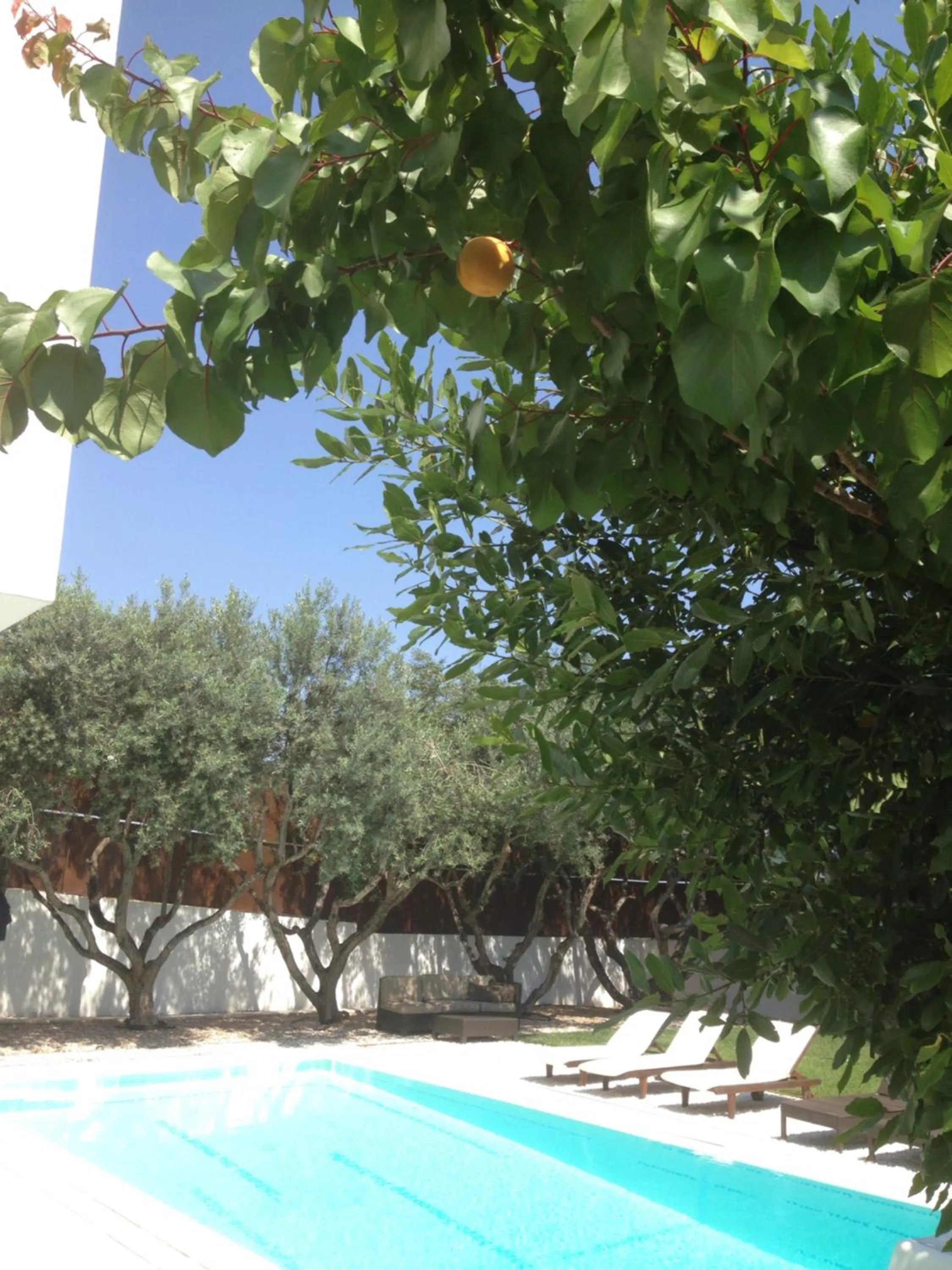 Swimming pool in Infinity White Complex by GK Properties