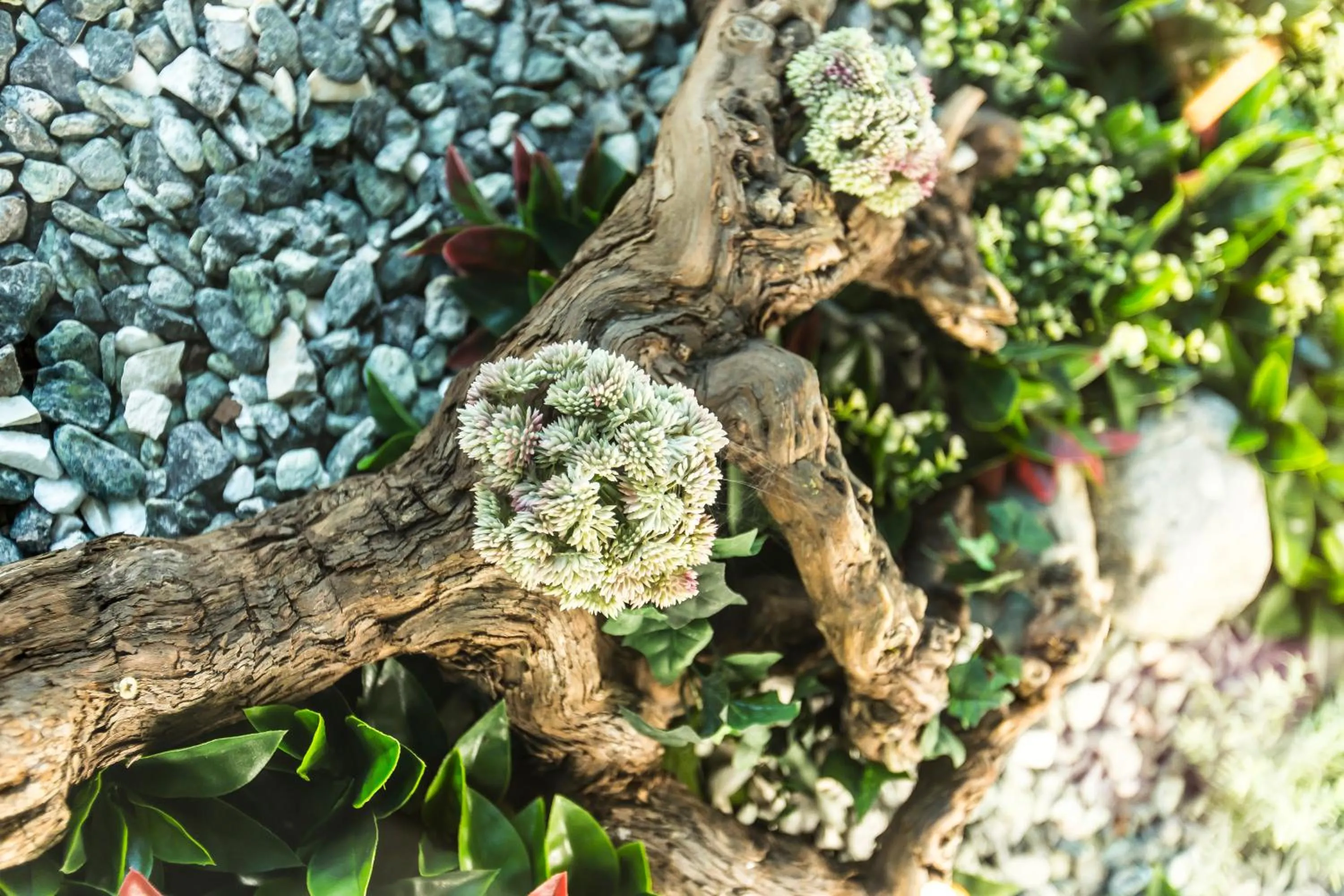 Natural landscape in Hotel Olanesti & Spa Medical