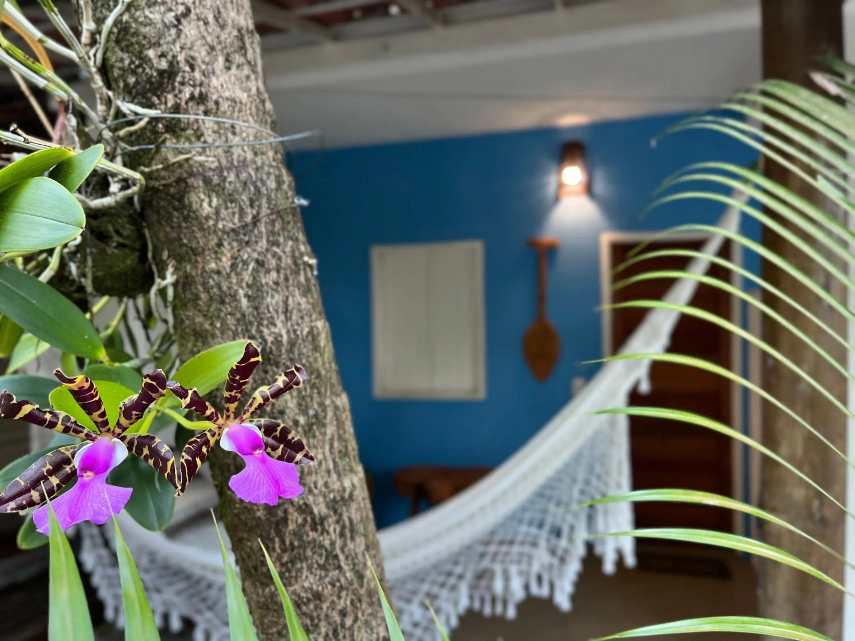 Garden in Pousada Nascente do Sol