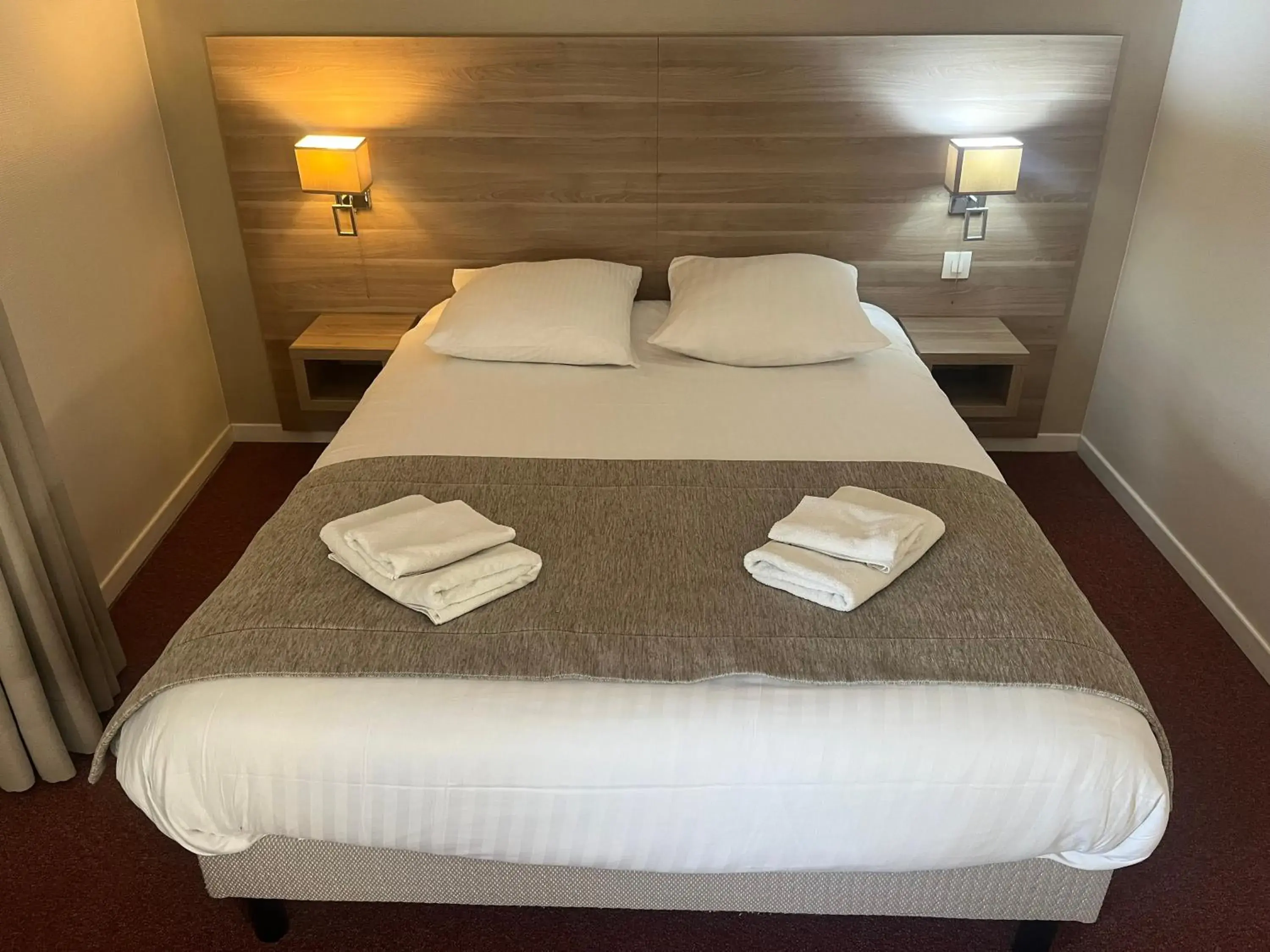 Double Room in Hôtel Le Roosevelt Double Room in Hôtel Le Roosevelt