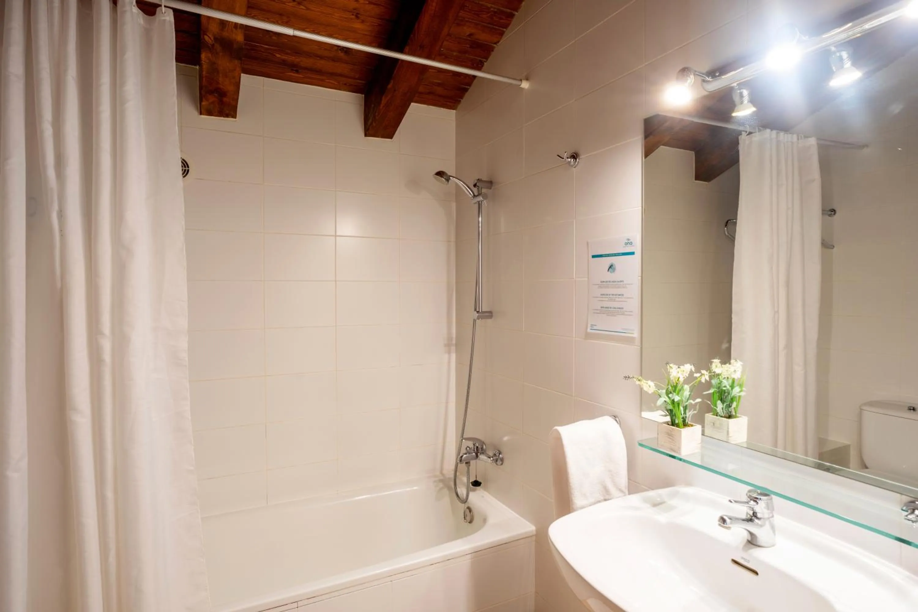 Toilet in Apartamentos Ona Dorada el Tarter