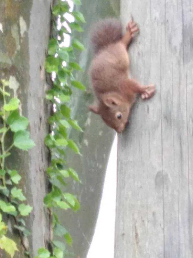 Château de la Prade