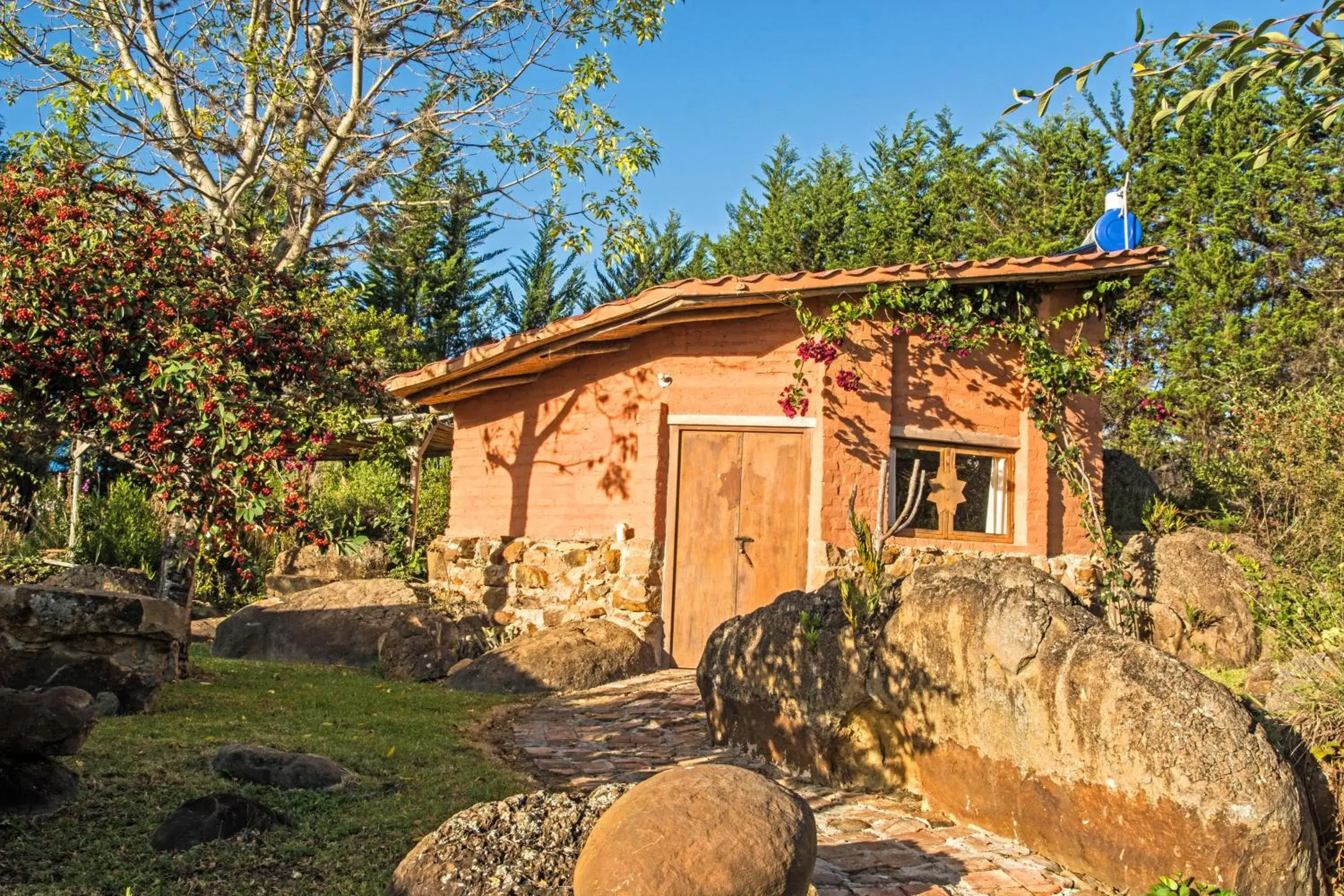 Studio with Terrace in El Hayuelo Ecolodge Studio with Terrace in El Hayuelo Ecolodge