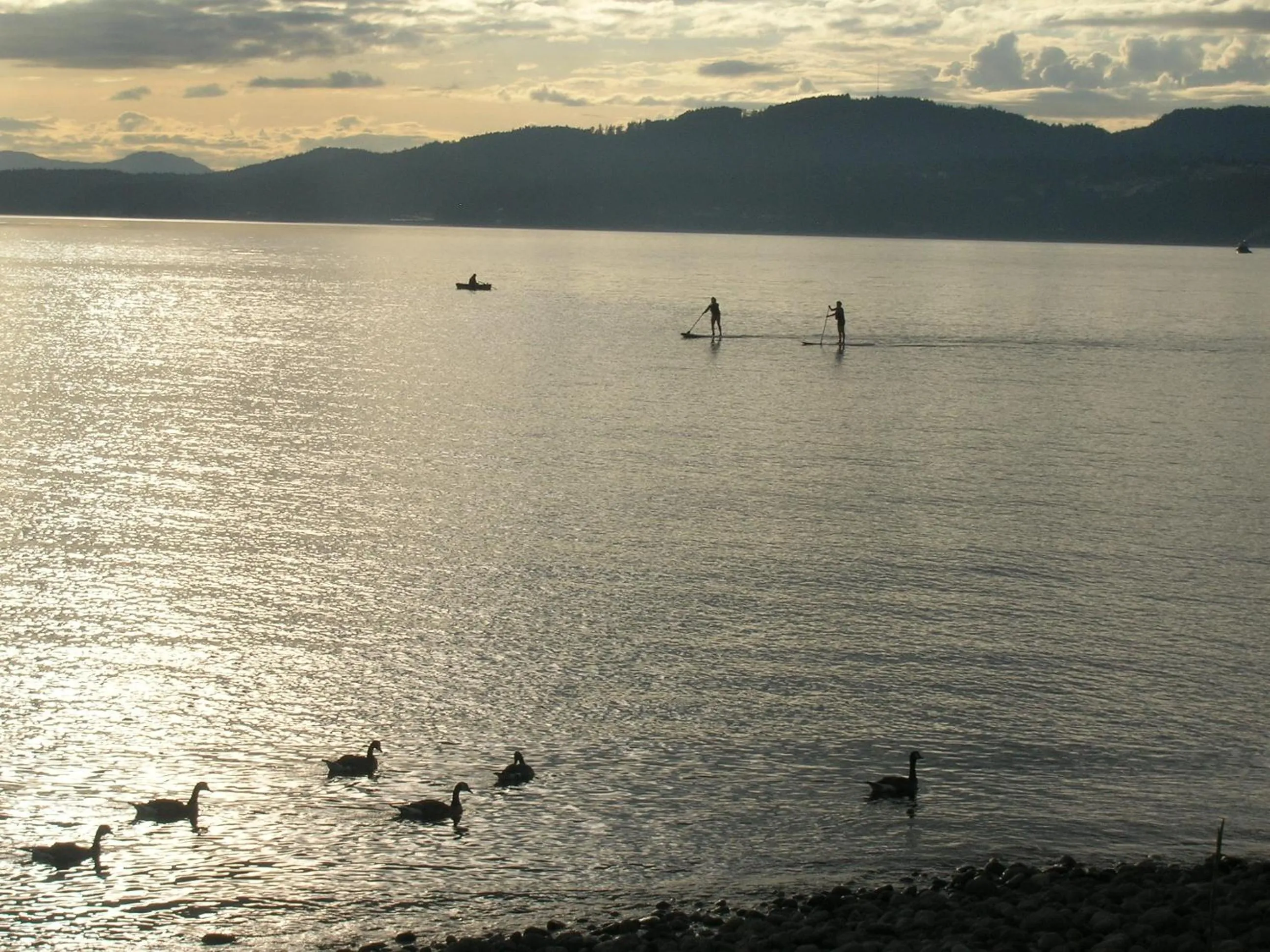 Davis Bay Bed & Breakfast