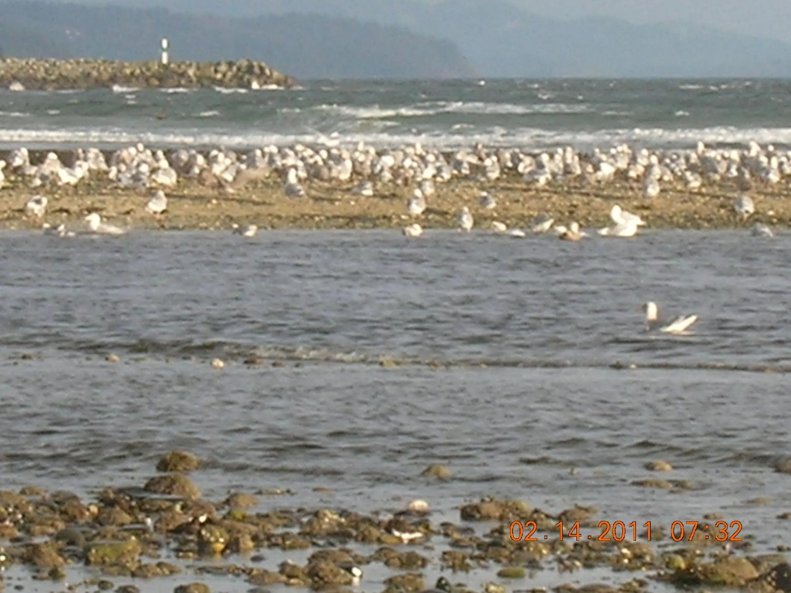 Davis Bay Bed & Breakfast