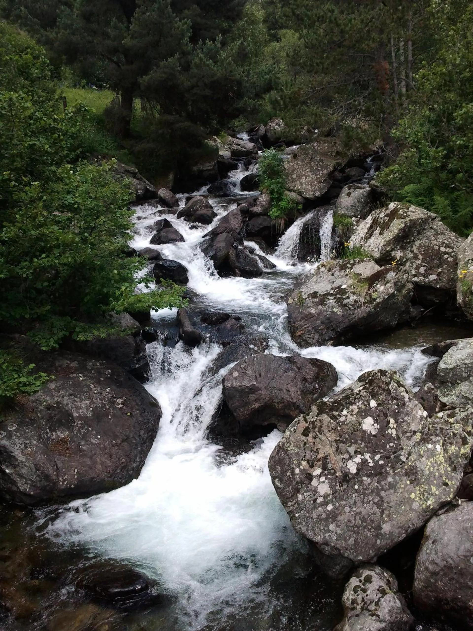 Natural landscape in Hotel & Spa Xalet Bringue