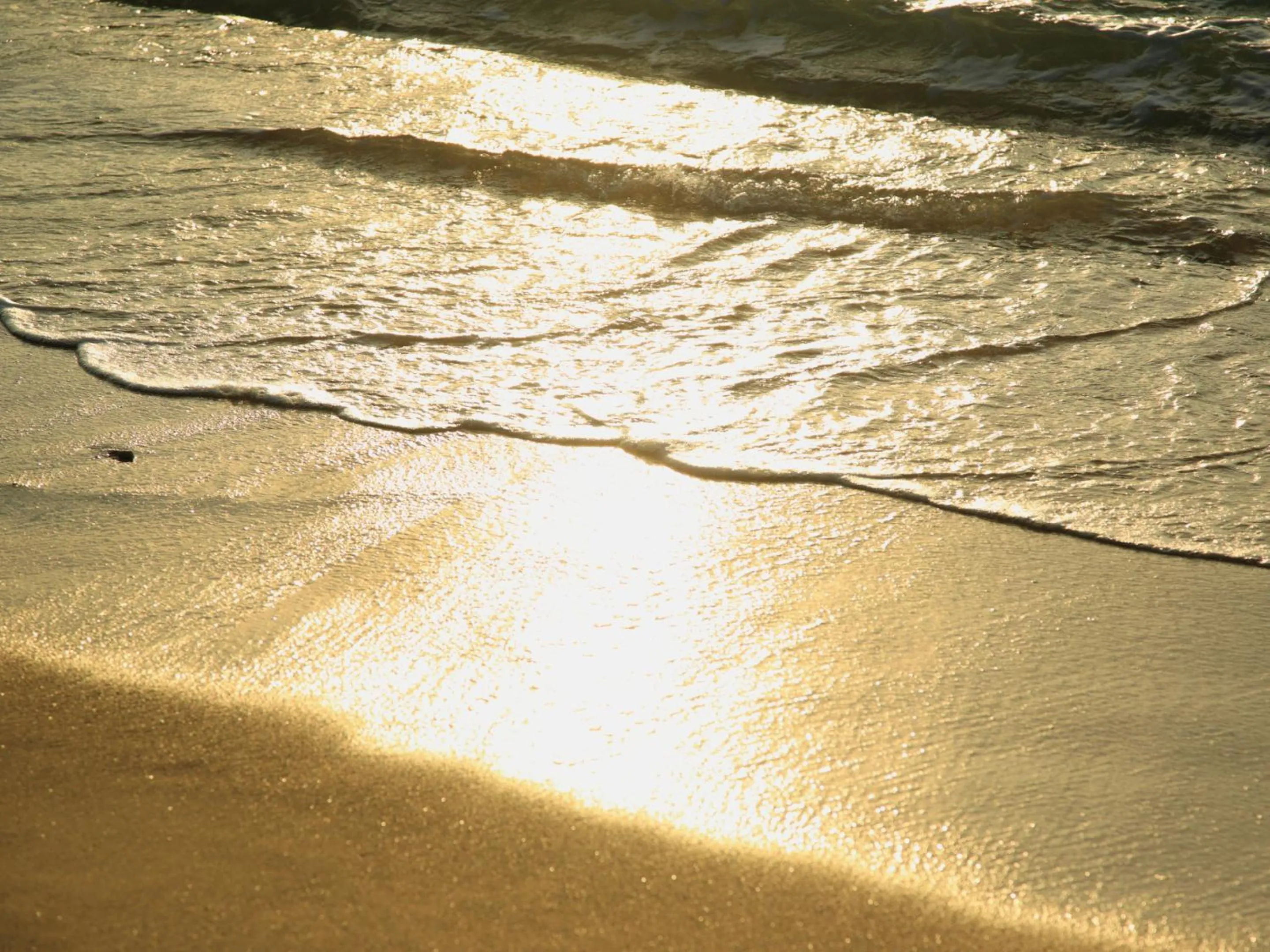 Beach in Villa Kukuru