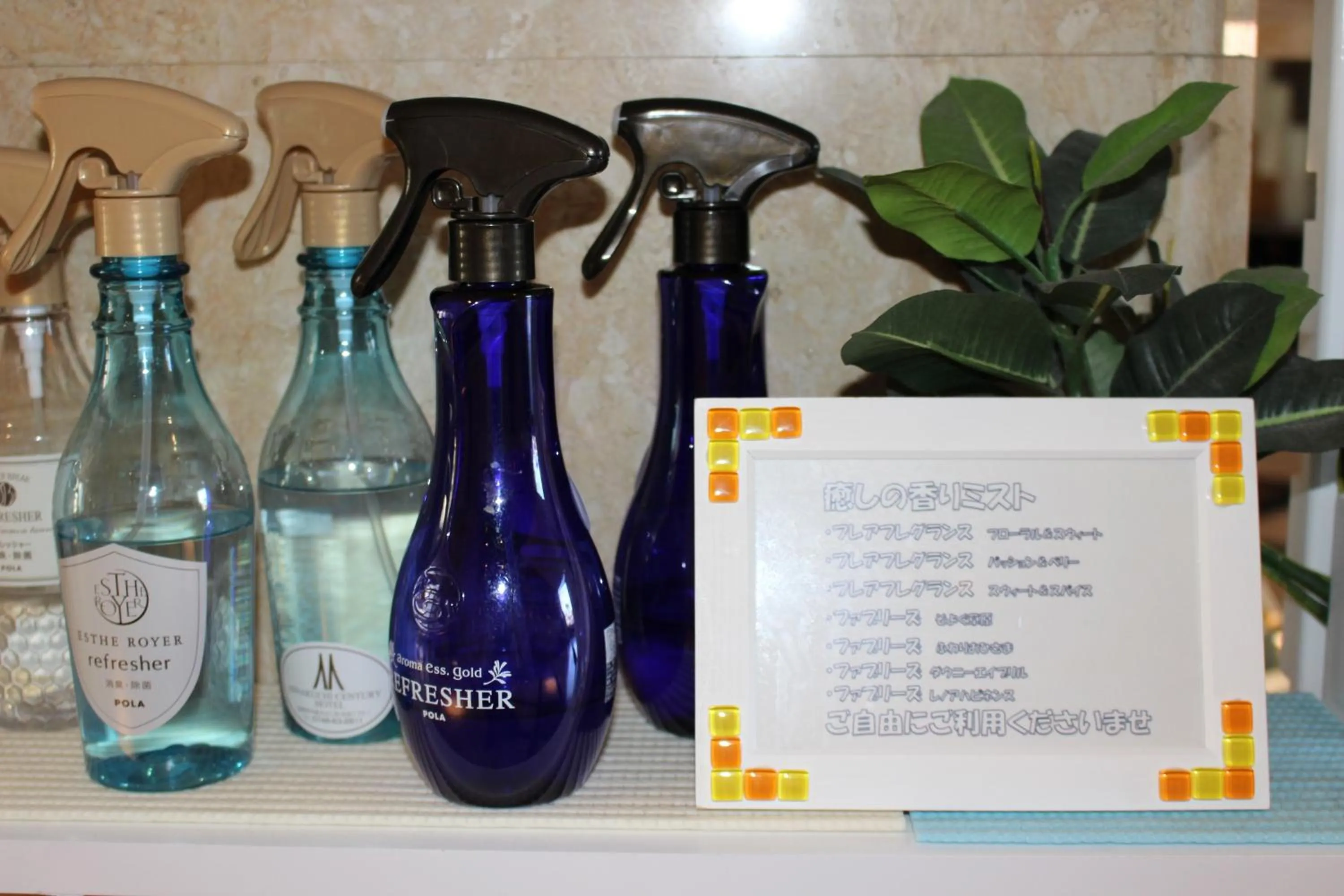 Area and facilities in Minakuchi Century Hotel