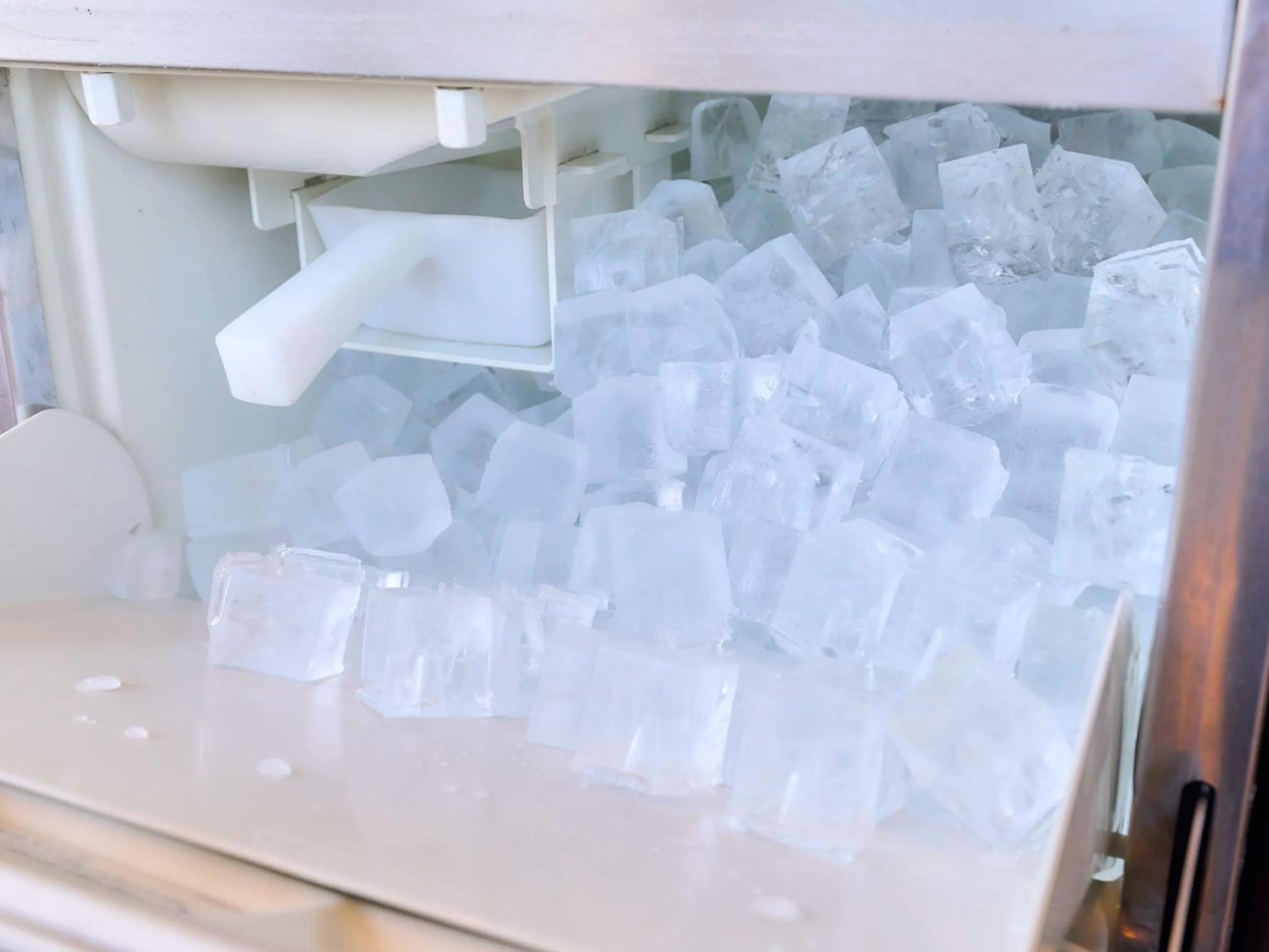 Drinks in Minakuchi Century Hotel