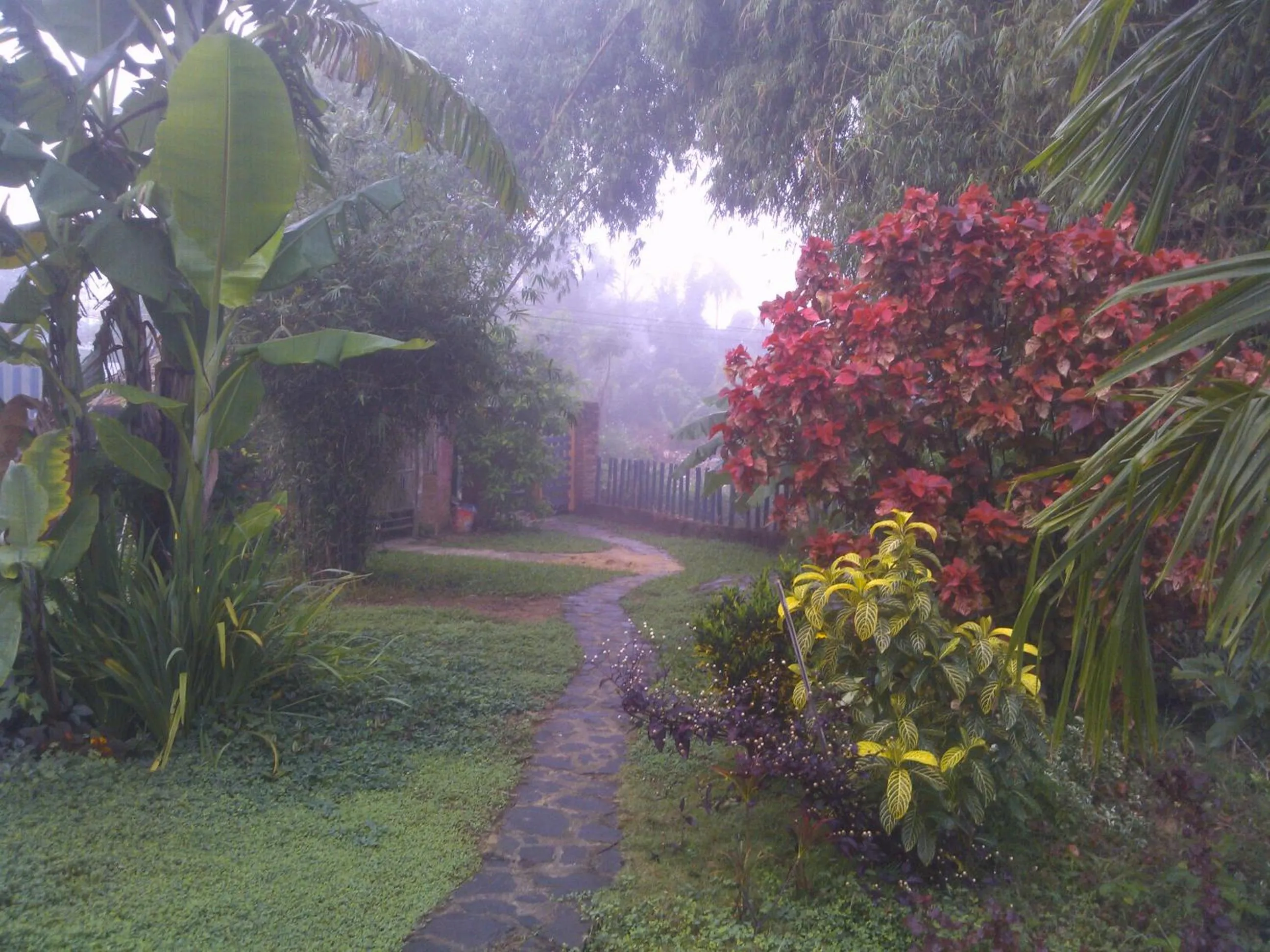 Garden in La Terrazza